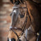 Competition Flash Bridle Brown