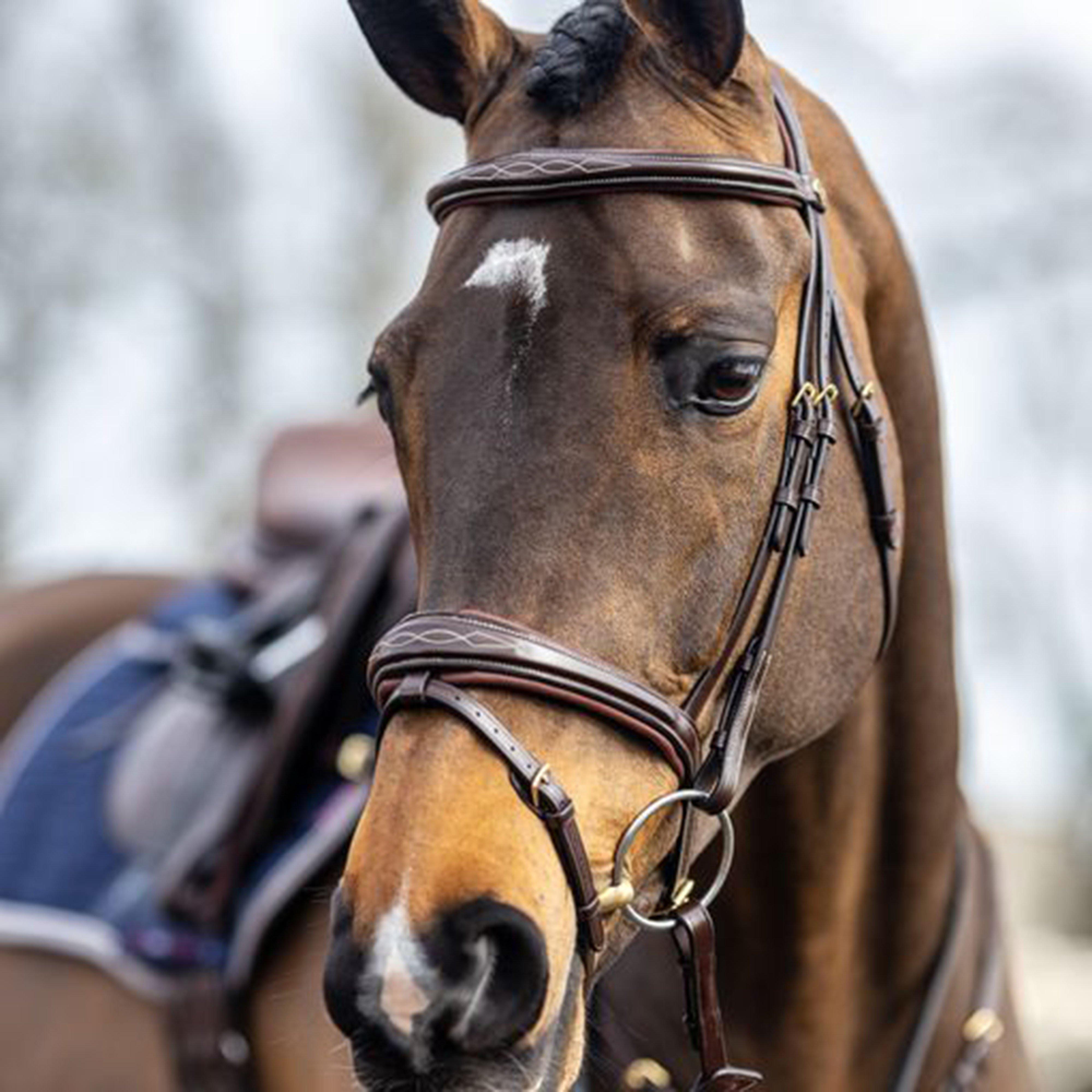 Competition Flash Bridle Brown