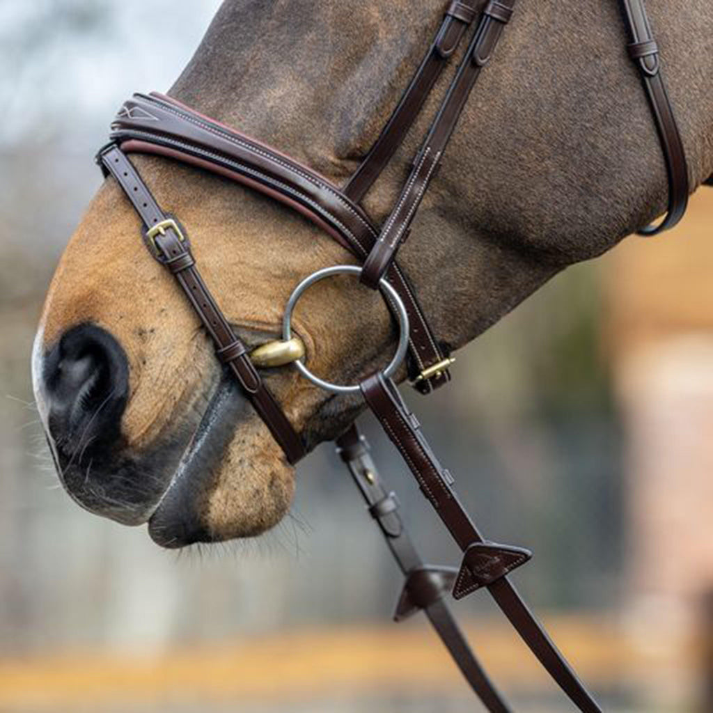 Competition Flash Bridle Brown