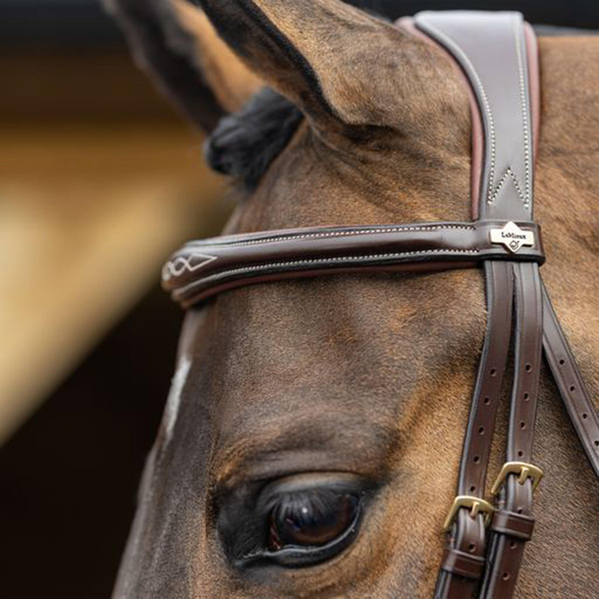 Competition Flash Bridle Brown