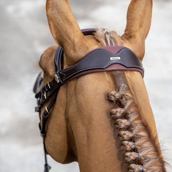 Competition Flash Bridle Brown
