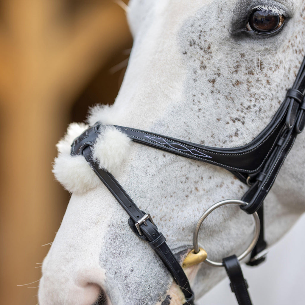 Grackle Bridle Black