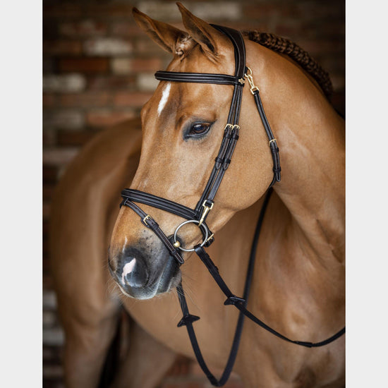 Work Bridle Brown