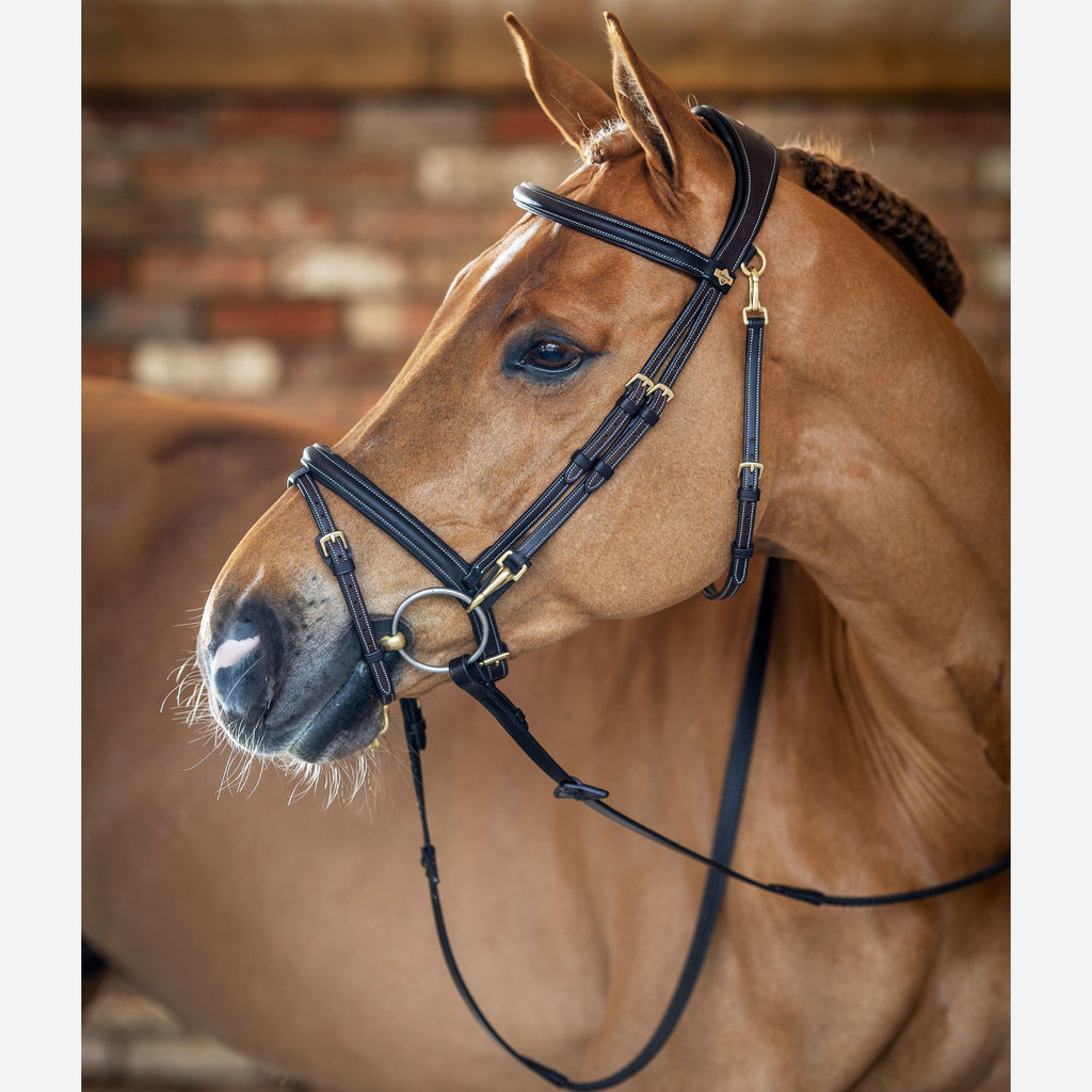 Work Bridle Brown