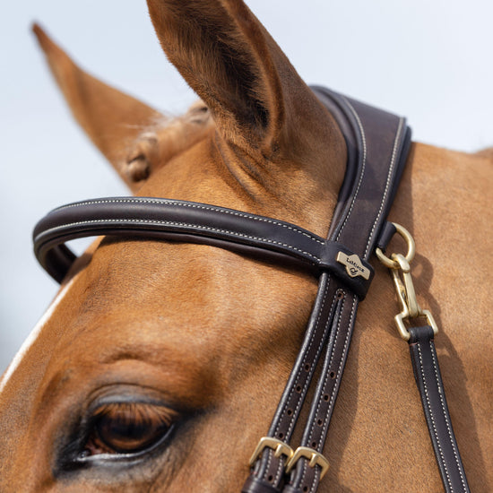 Work Bridle Brown