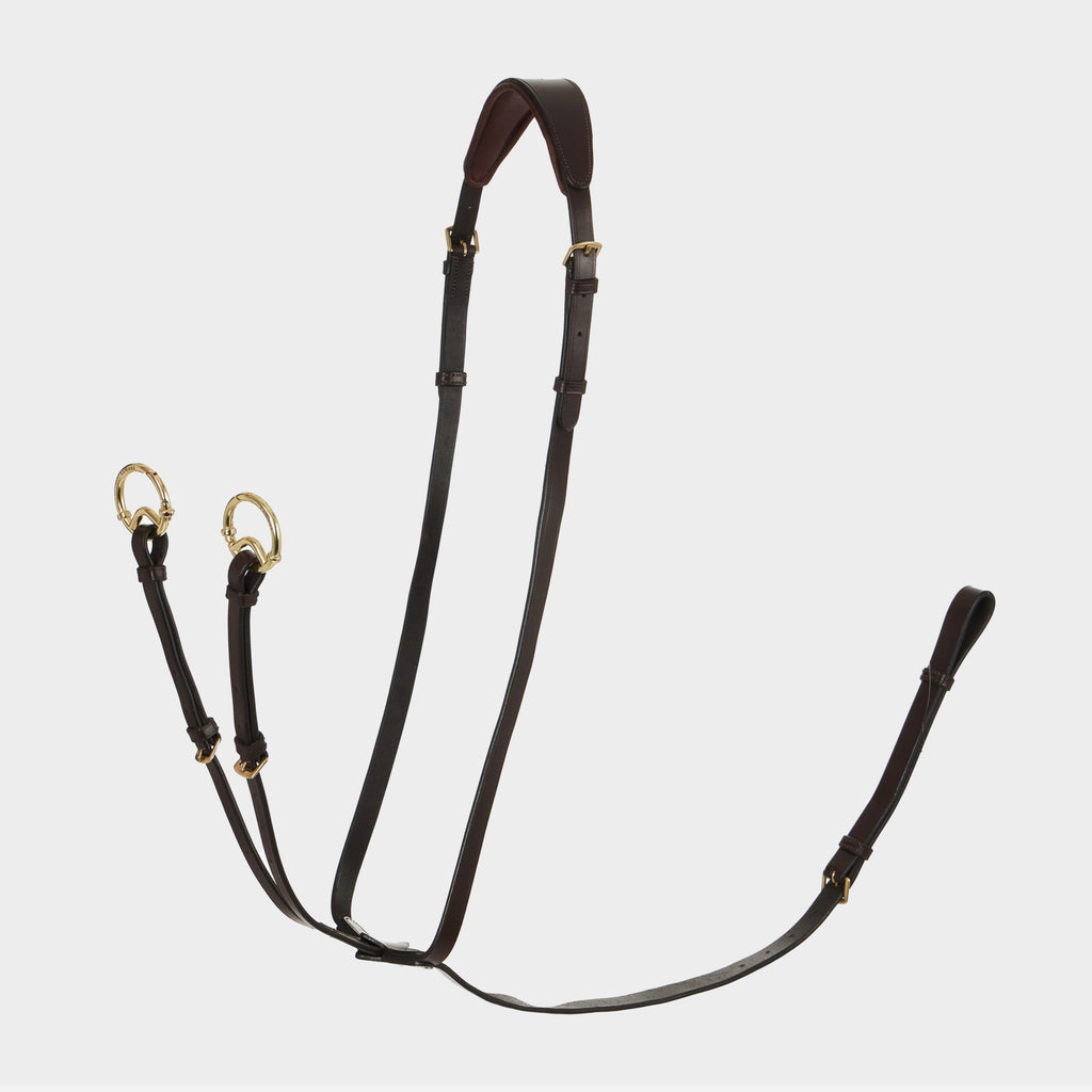Running Martingale Havana/Brass