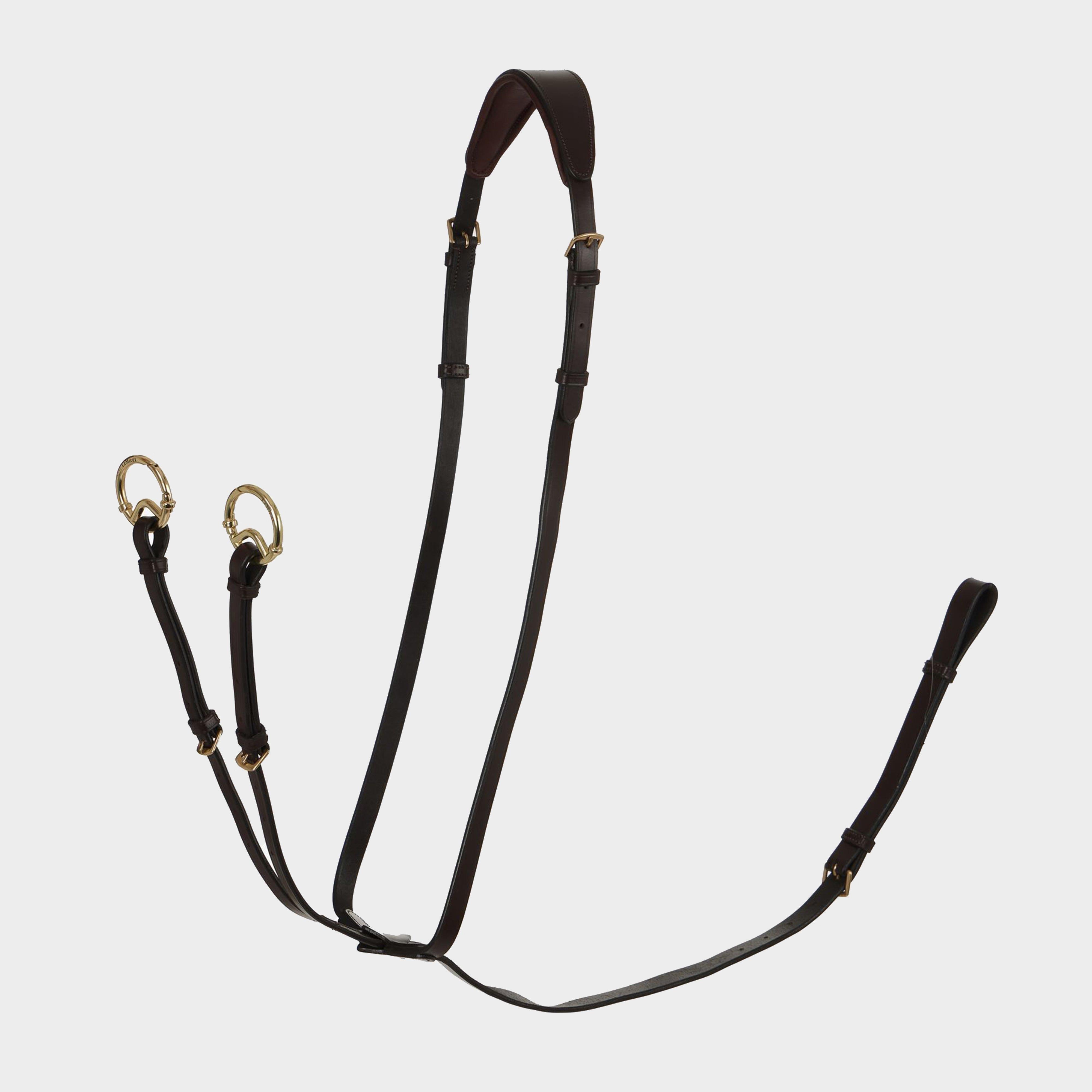 Running Martingale Brown