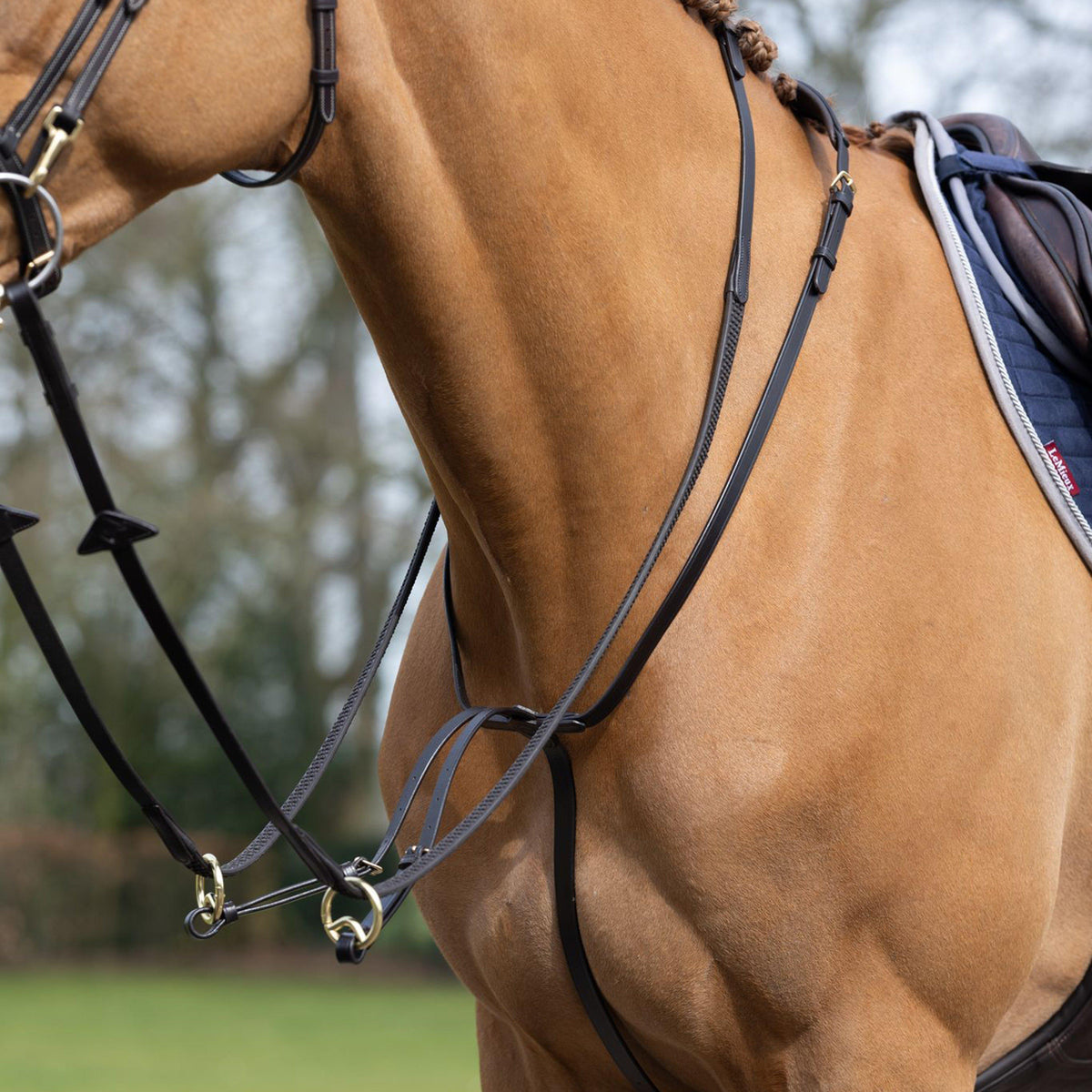 Running Martingale Brown
