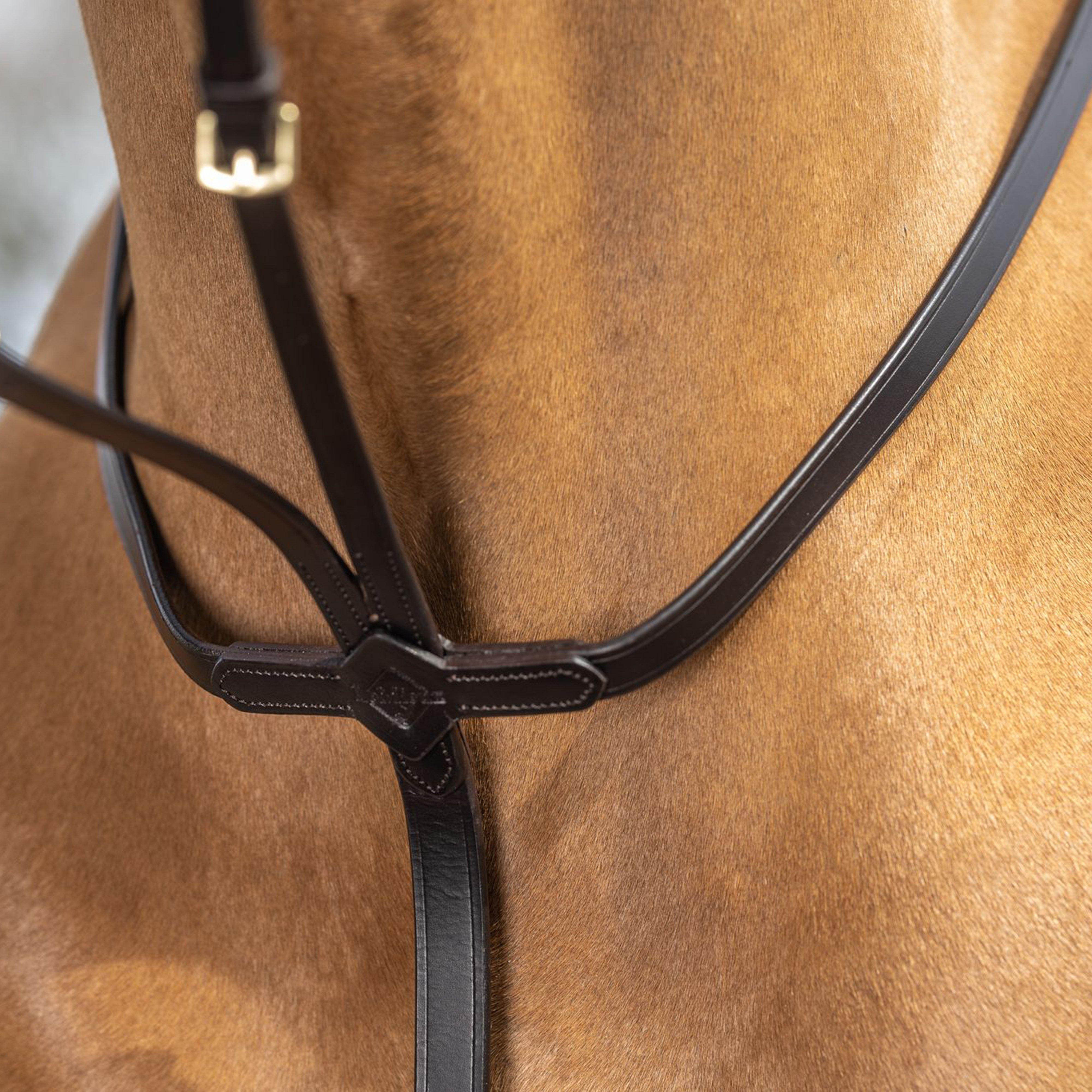 Running Martingale Brown