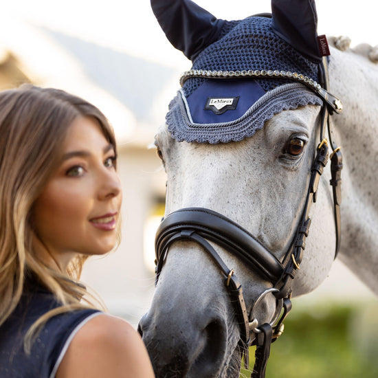 Classic Browband Brown Leather Twilight