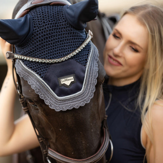 Classic Browband Brown Leather Twilight
