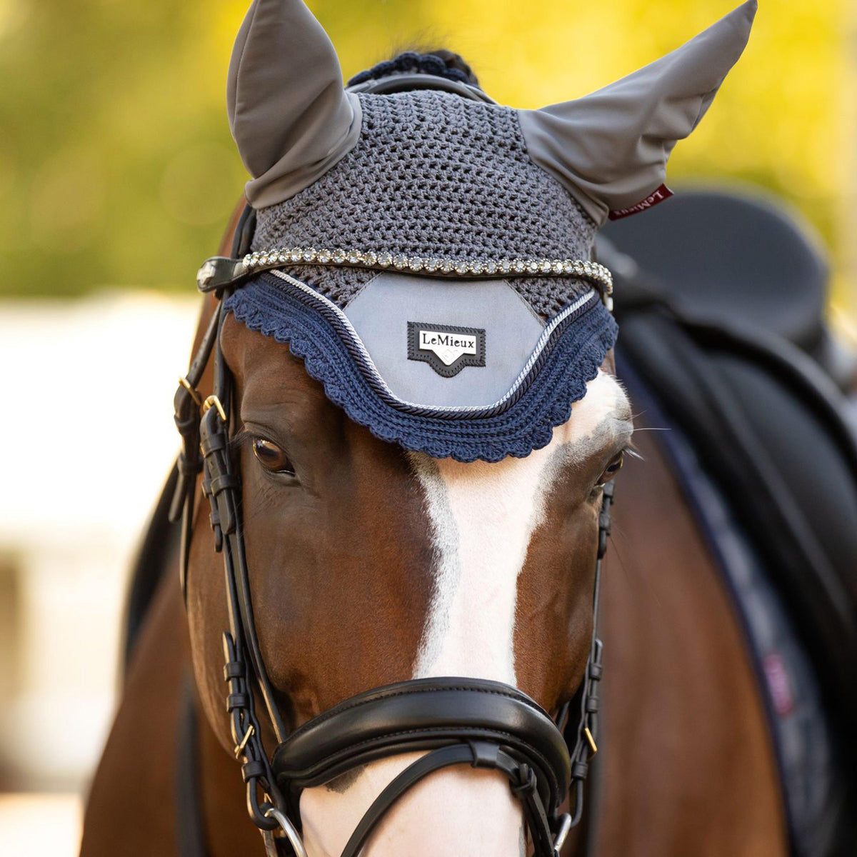 Classic Browband Black Leather Twilight
