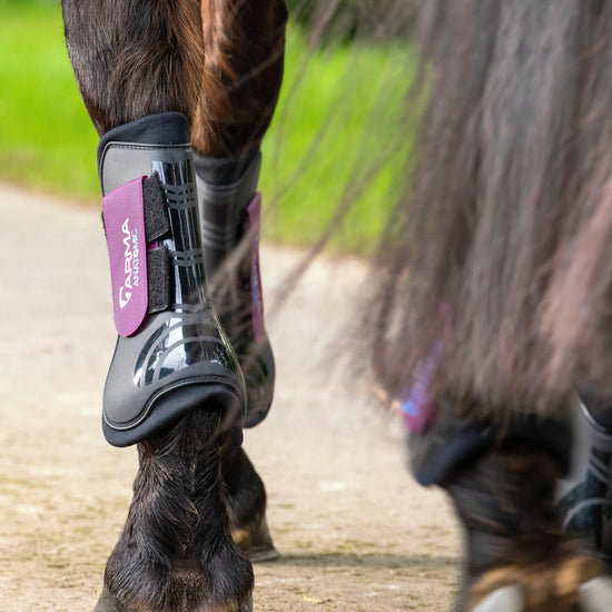 Tendon Boots Plum Pony