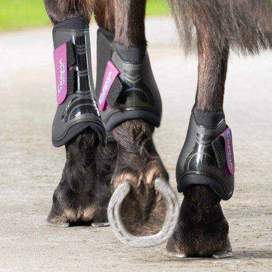 Tendon Boots Plum Pony
