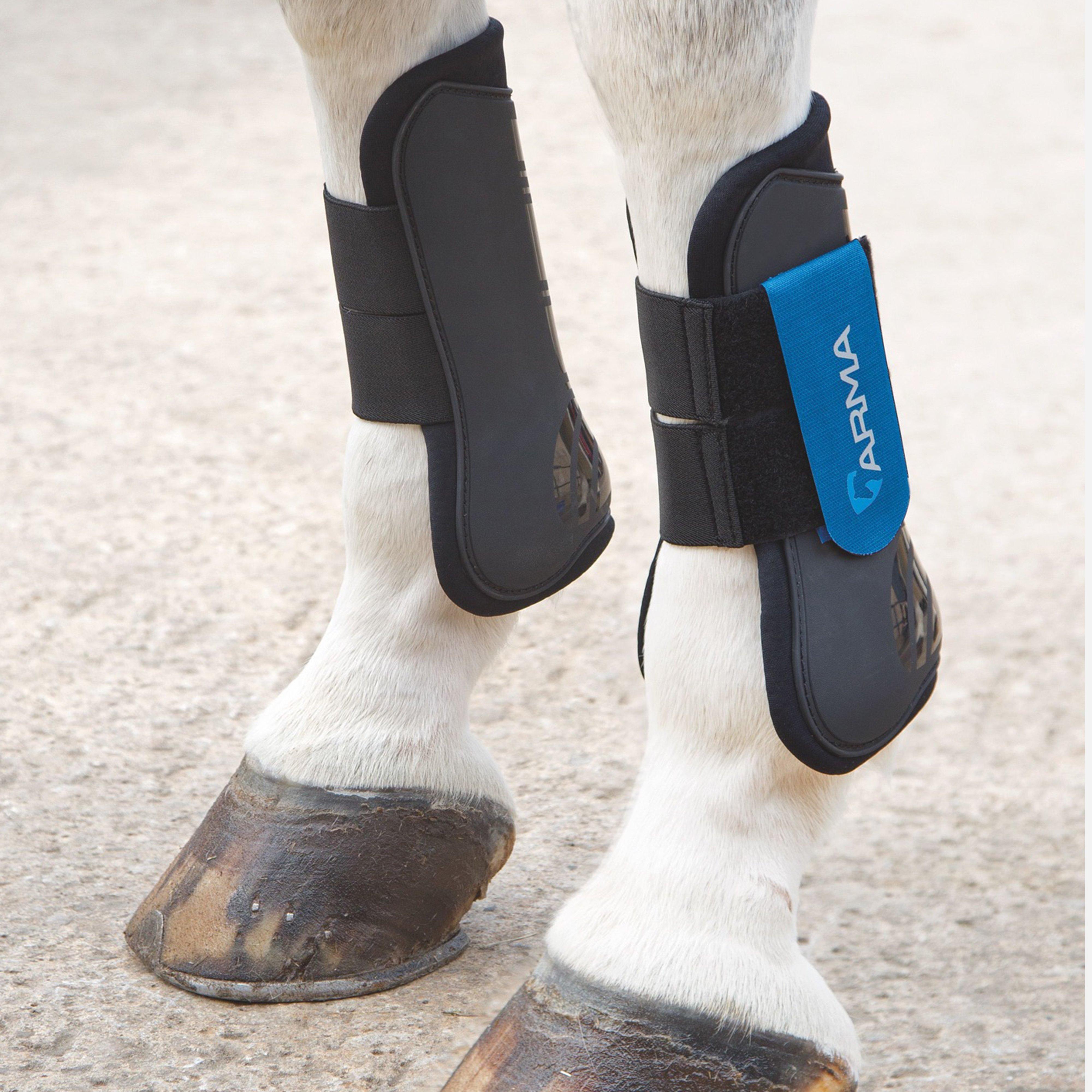 Tendon Boots Blue Pony