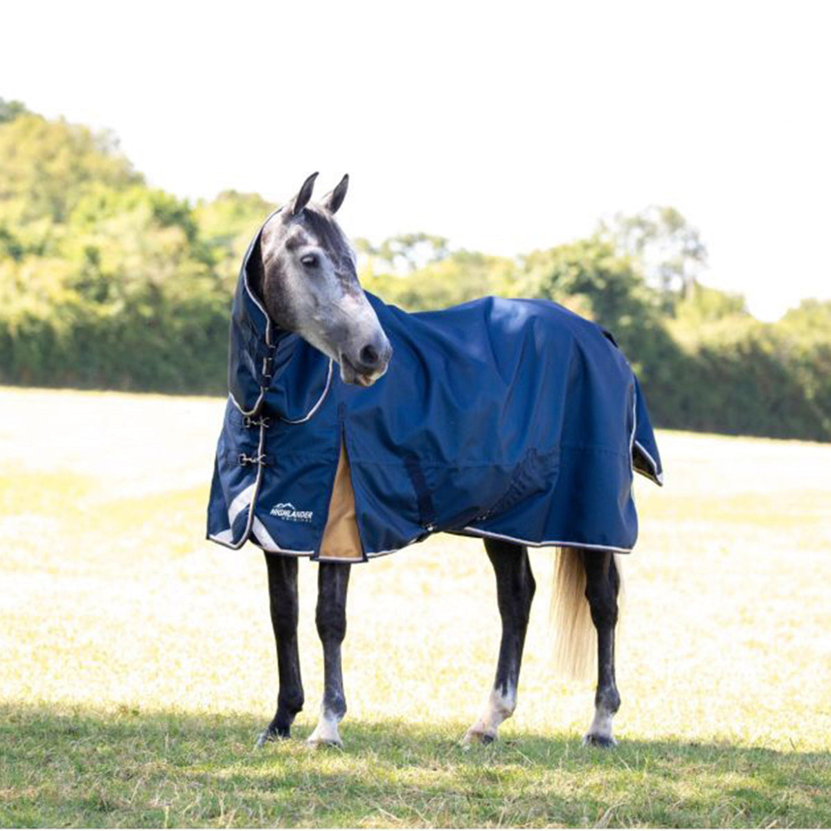 Highlander Plus Lite 0g Combo Turnout Rug Navy