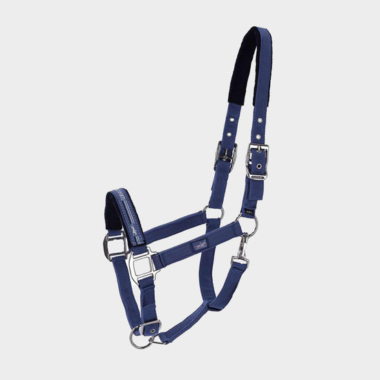 Memphis II Headcollar Cool Black