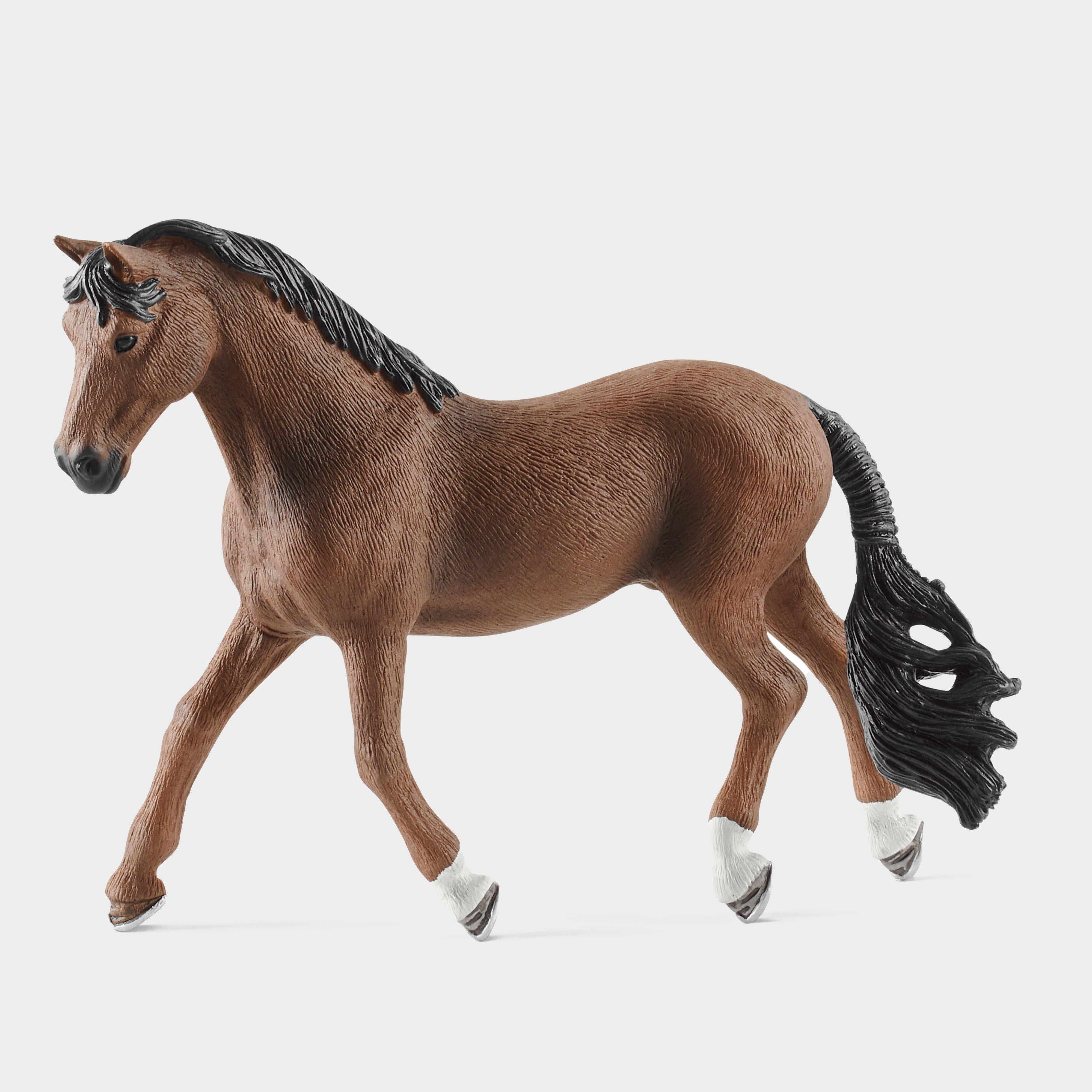 Trakehner Gelding