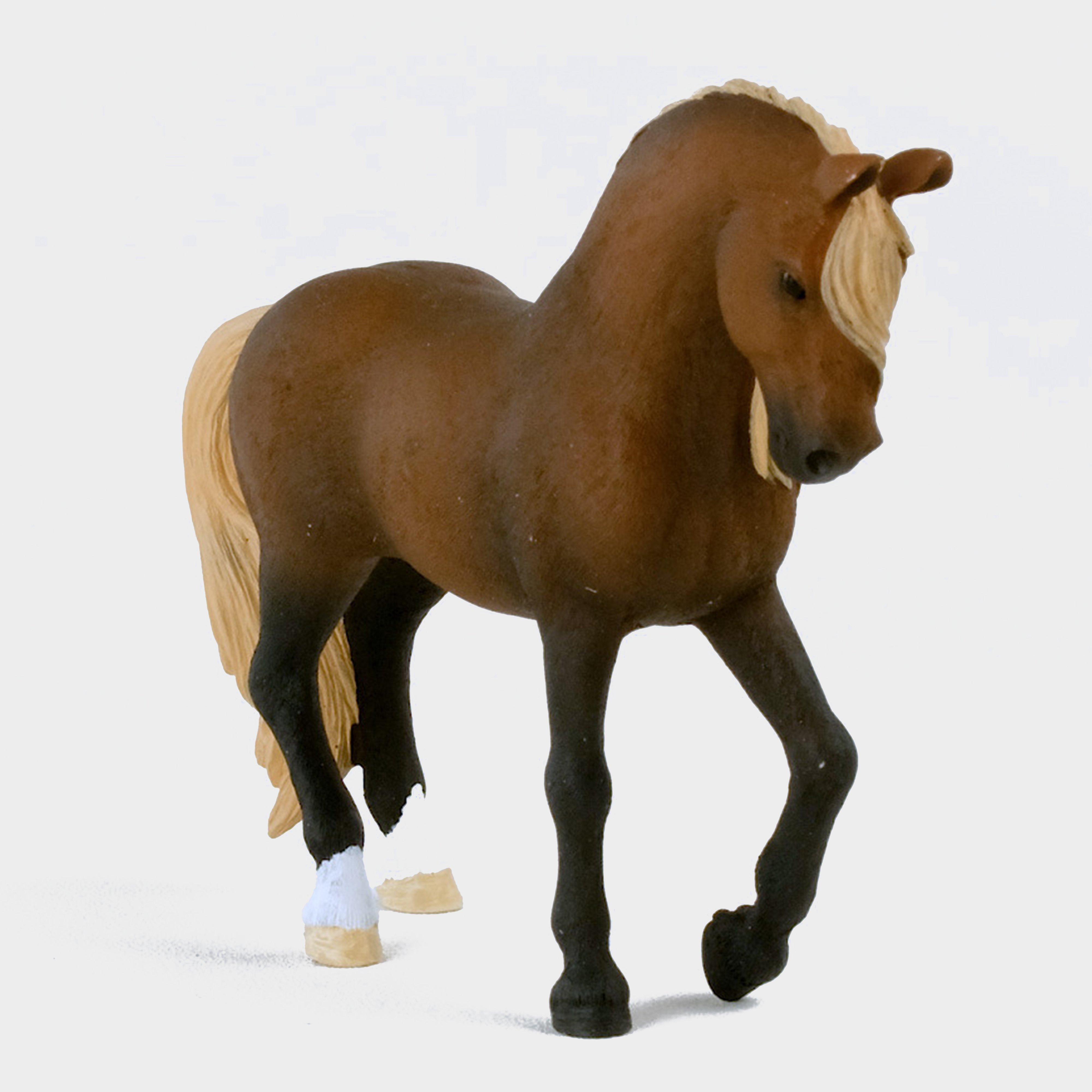 Peruvian Paso Stallion