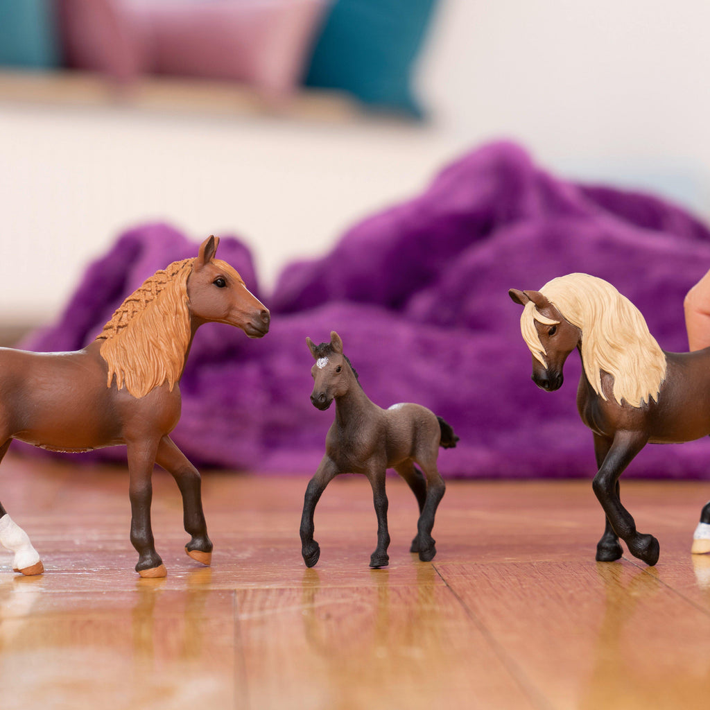 Peruvian Paso Stallion