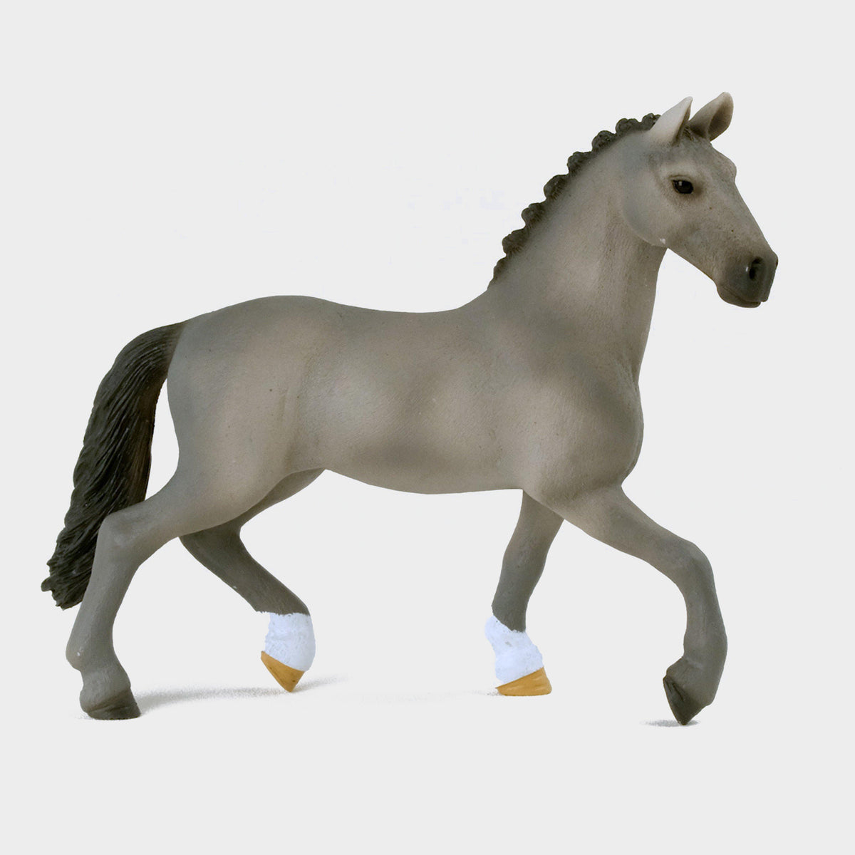 Selle Français Stallion