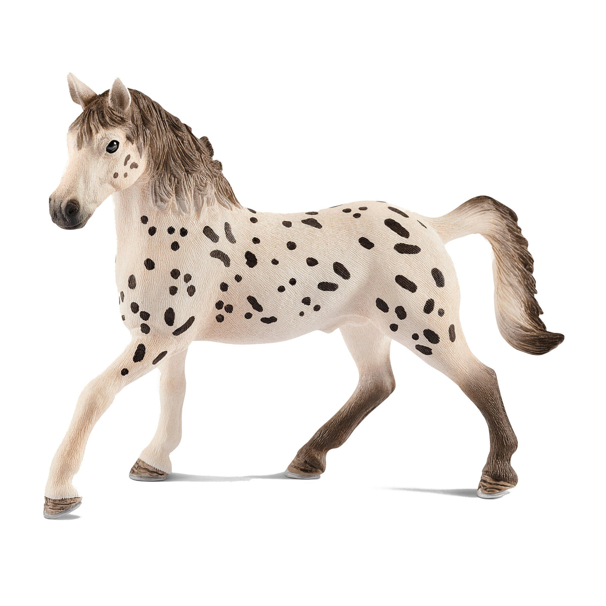 Knapstrupper Stallion