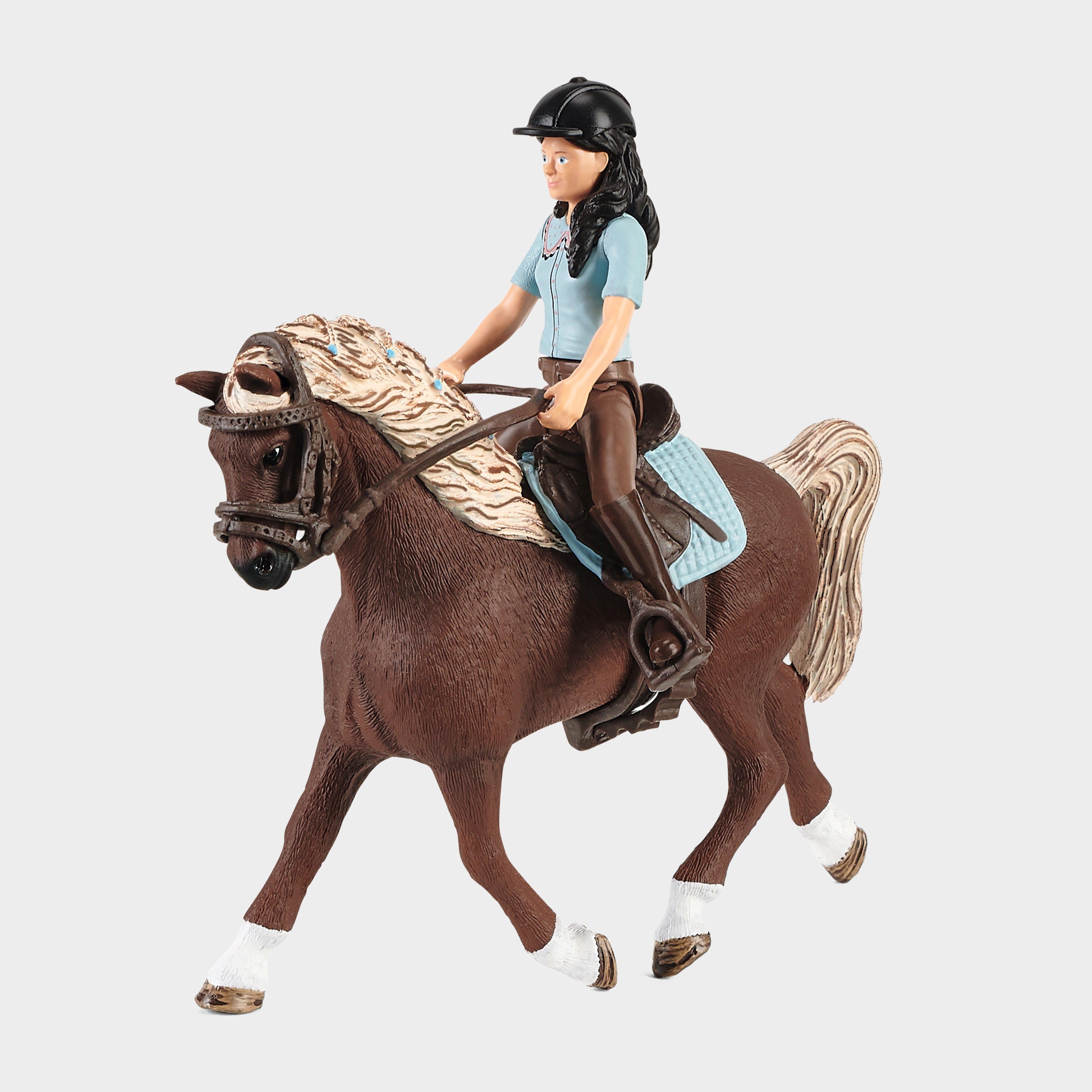 Washing Area with Horse Club Emily & Luna