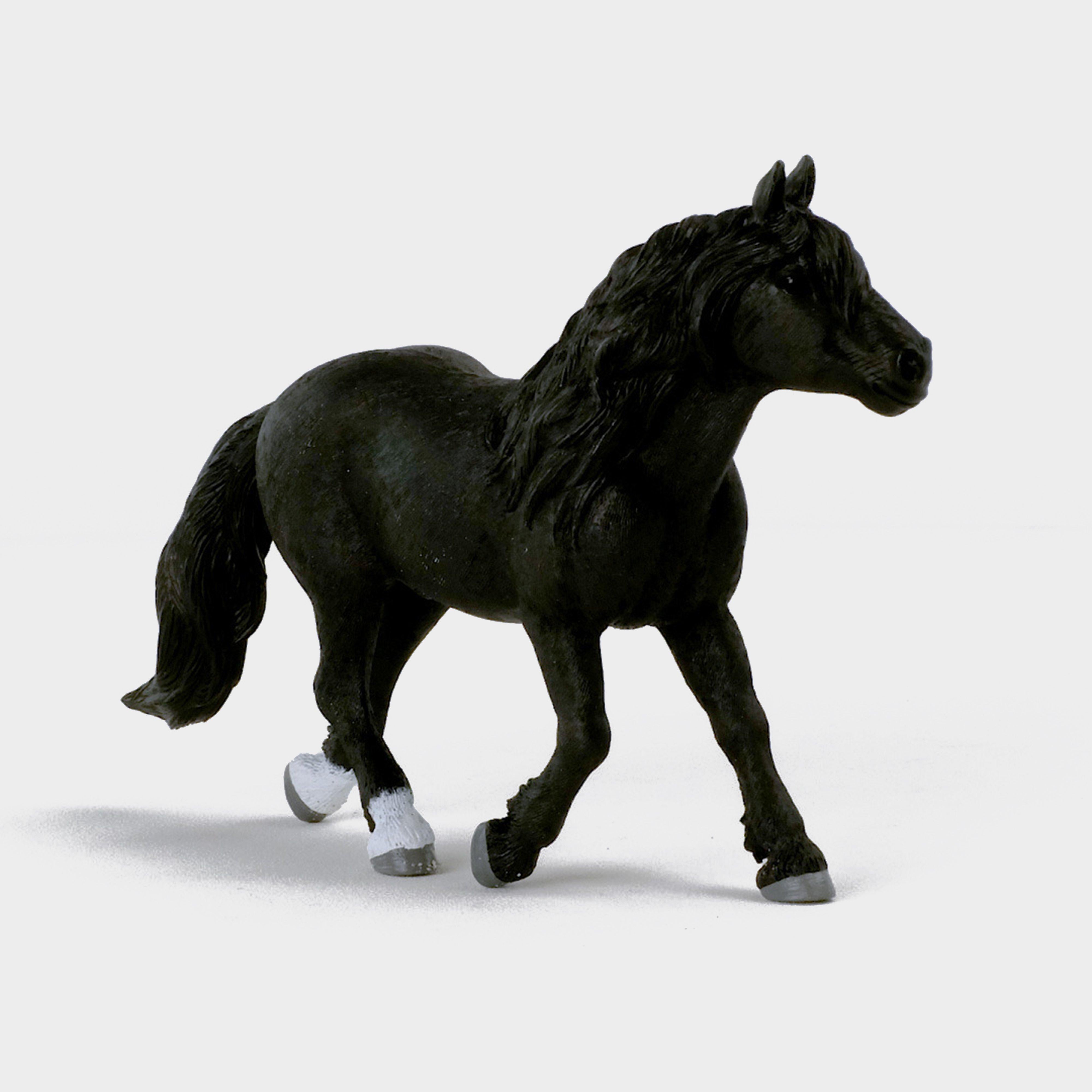 Noriker Stallion