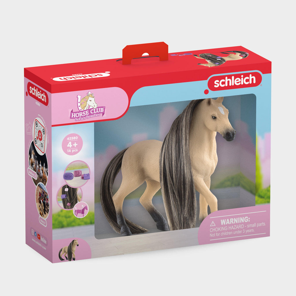 Beauty Horse Andalusian Mare