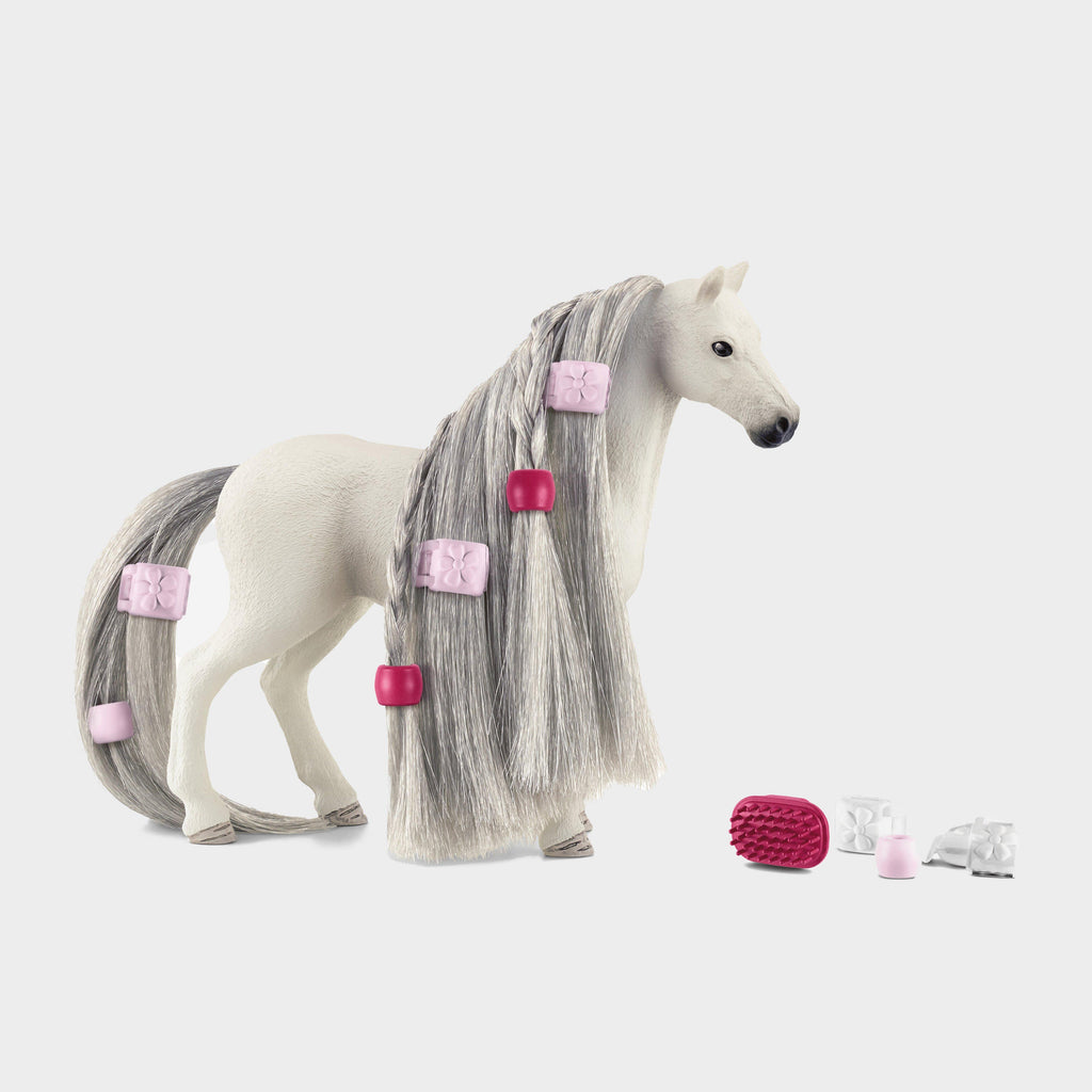 Beauty Horse Quarter Horse Mare