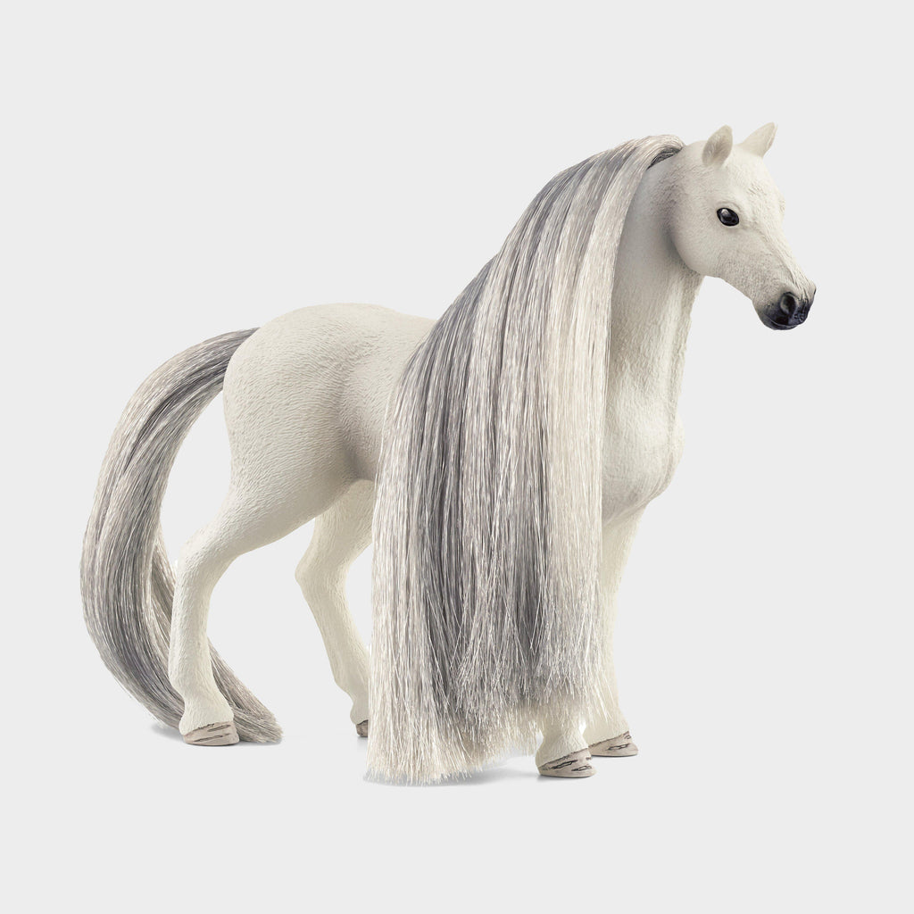 Beauty Horse Quarter Horse Mare