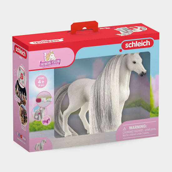 Beauty Horse Quarter Horse Mare