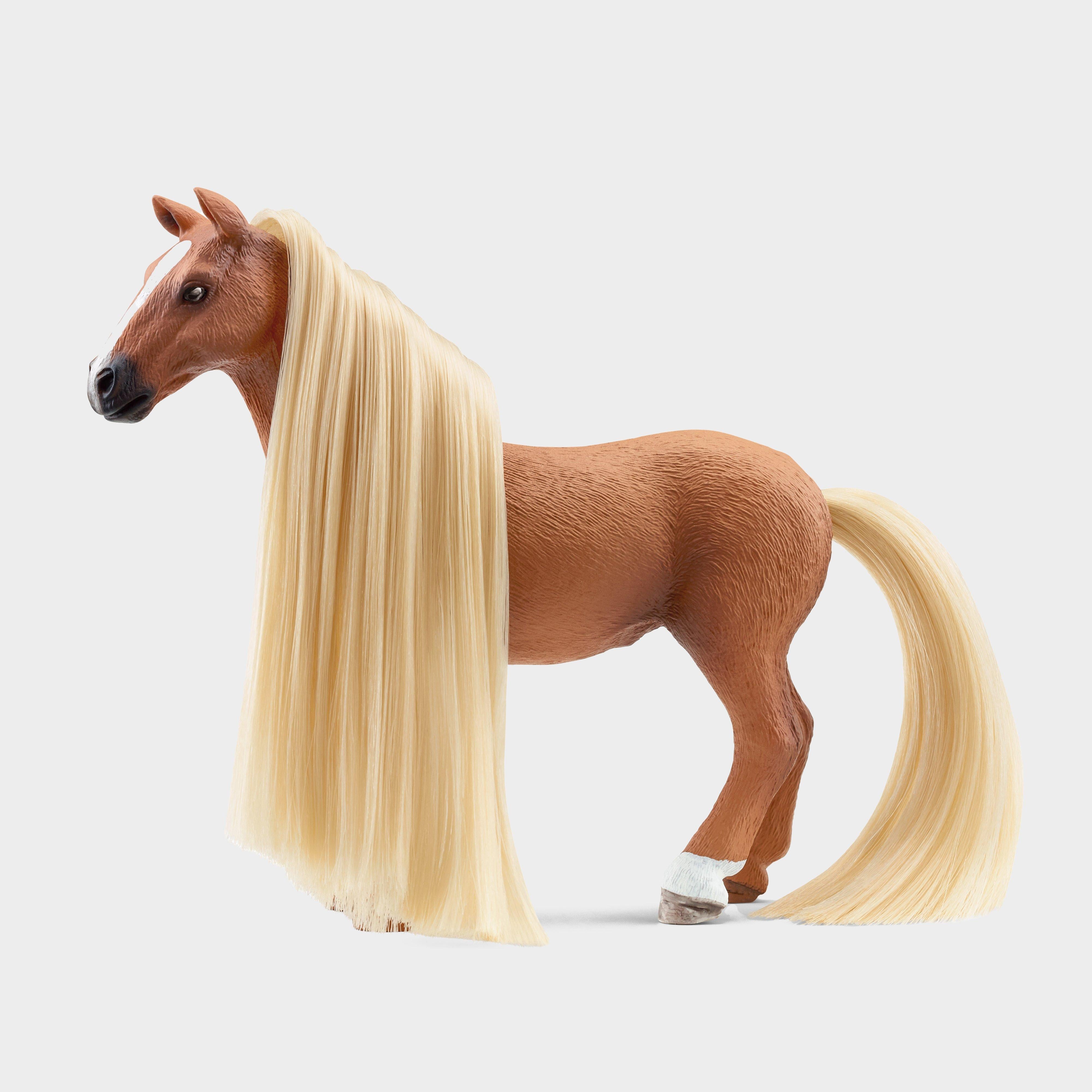 Starter Set Kim & Caramelo