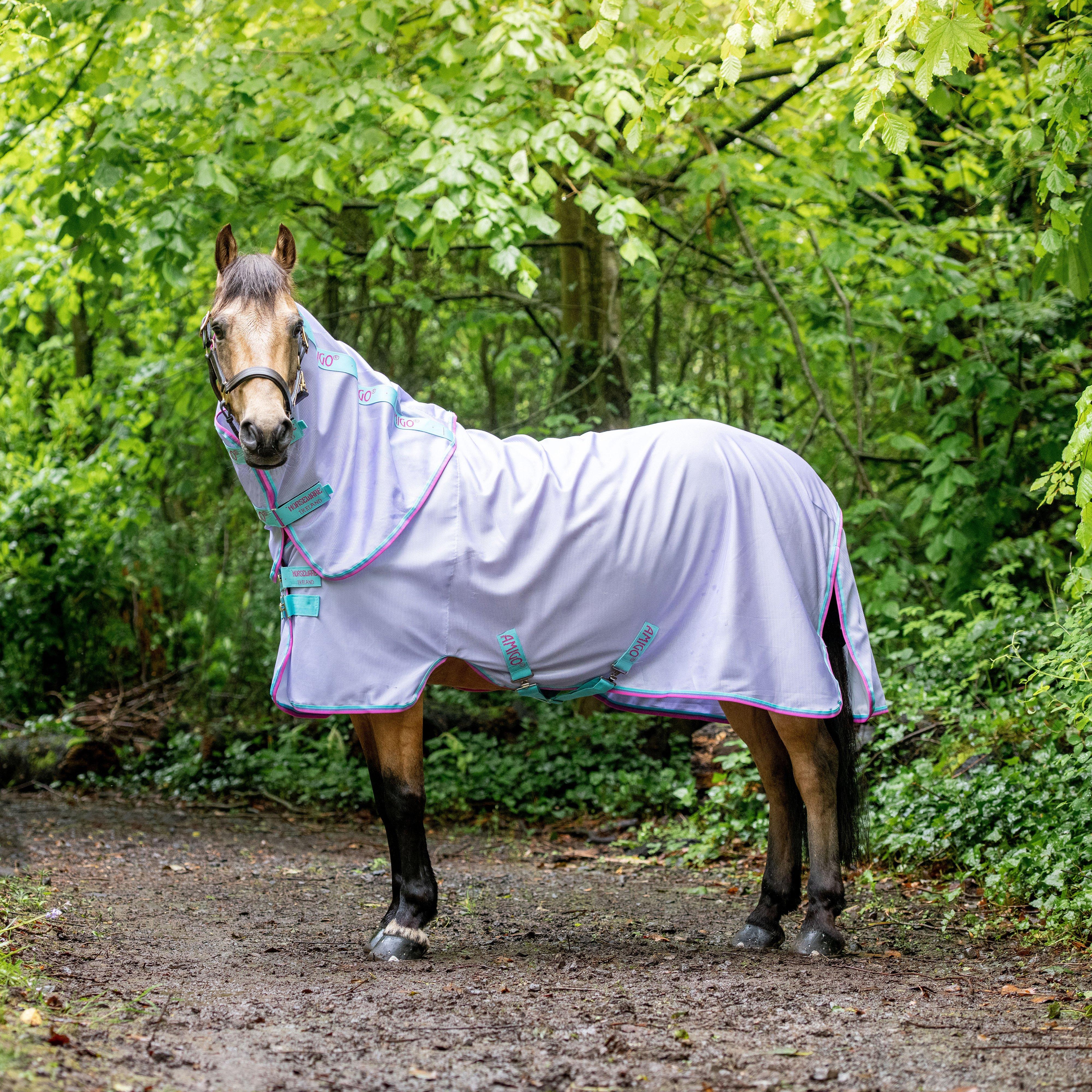 Amigo® Bug Rug Fly Sheet Lavender/ Capri & Raspberry & Purple
