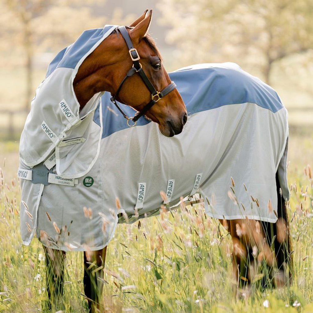 Amigo® AmECO Combi Teal Grey