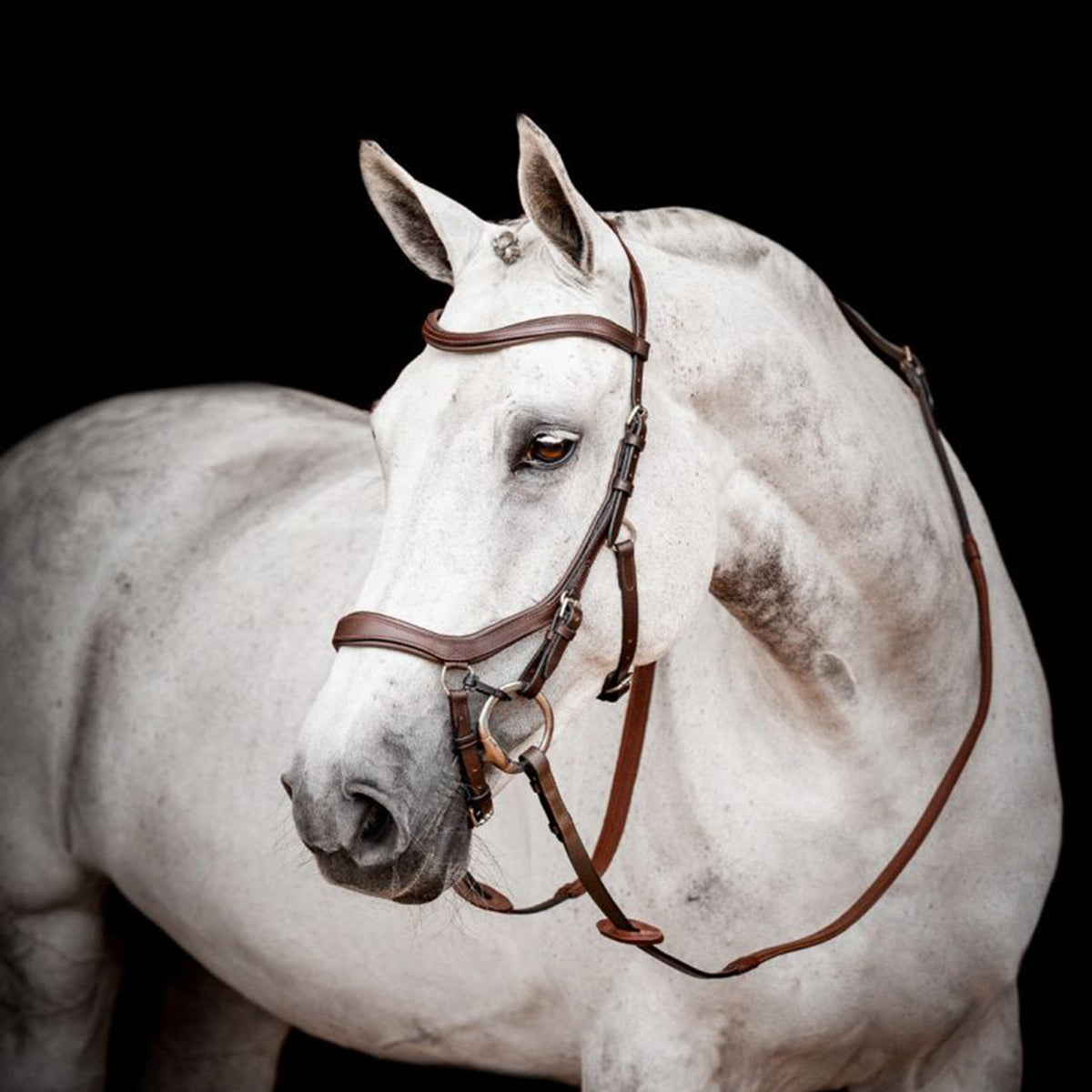 Micklem® 2 Competition Bridle Dark Havana