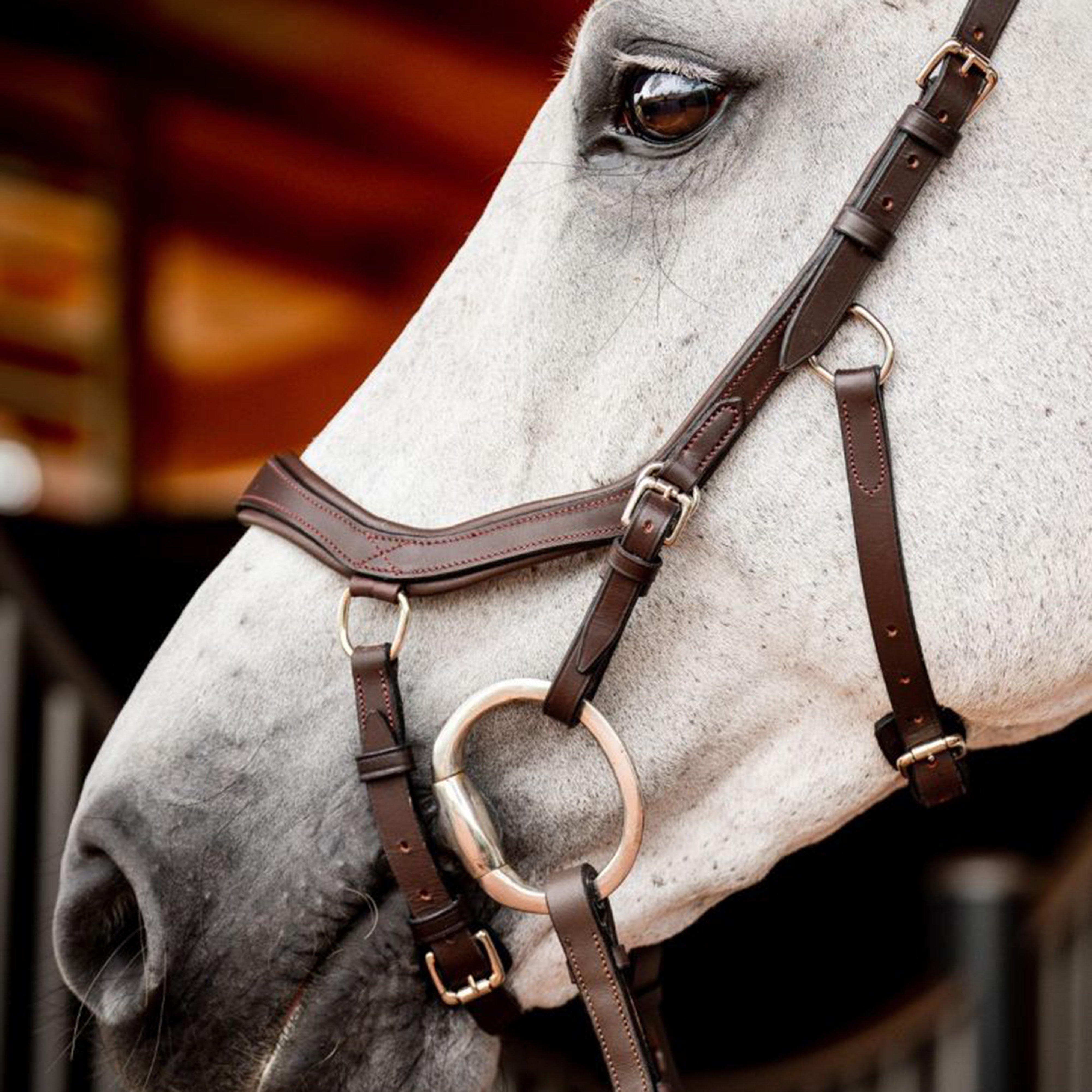 Micklem® 2 Competition Bridle Dark Havana