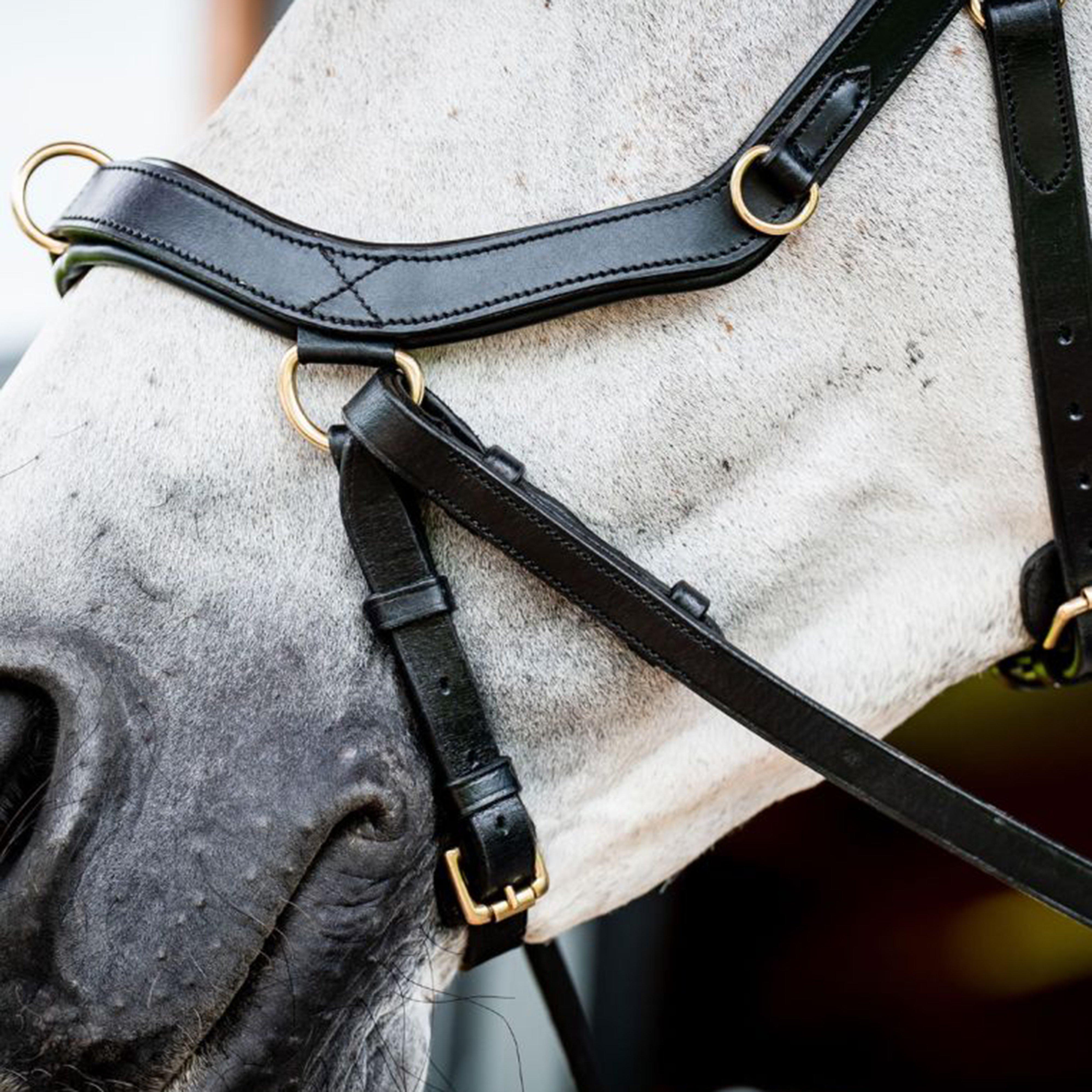 Micklem® 2 Multi Bridle Black