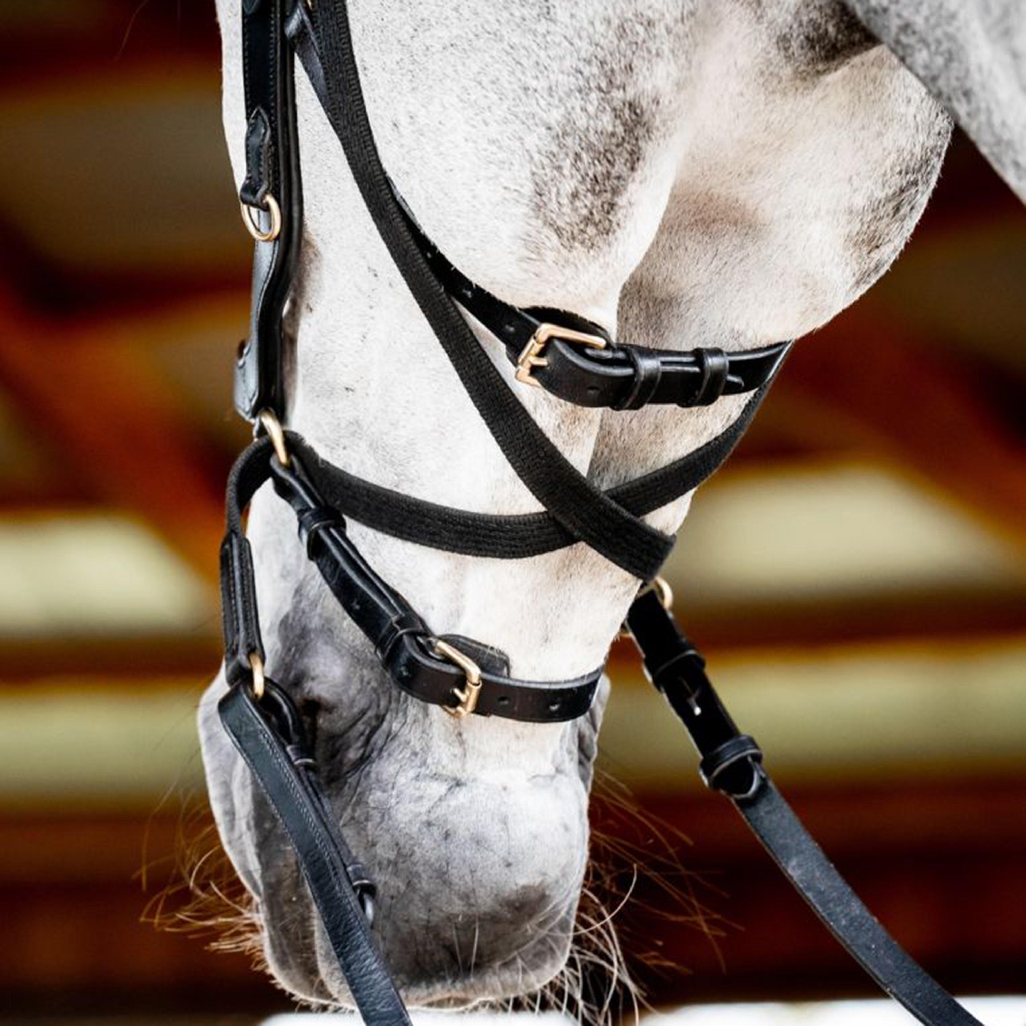 Micklem® 2 Multi Bridle Black