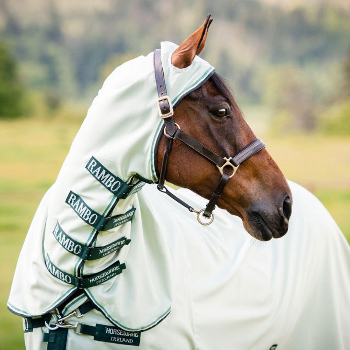 Hoody Rug Green Sage & Beige & Green