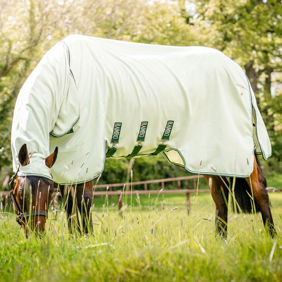 Hoody Rug Green Sage & Beige & Green