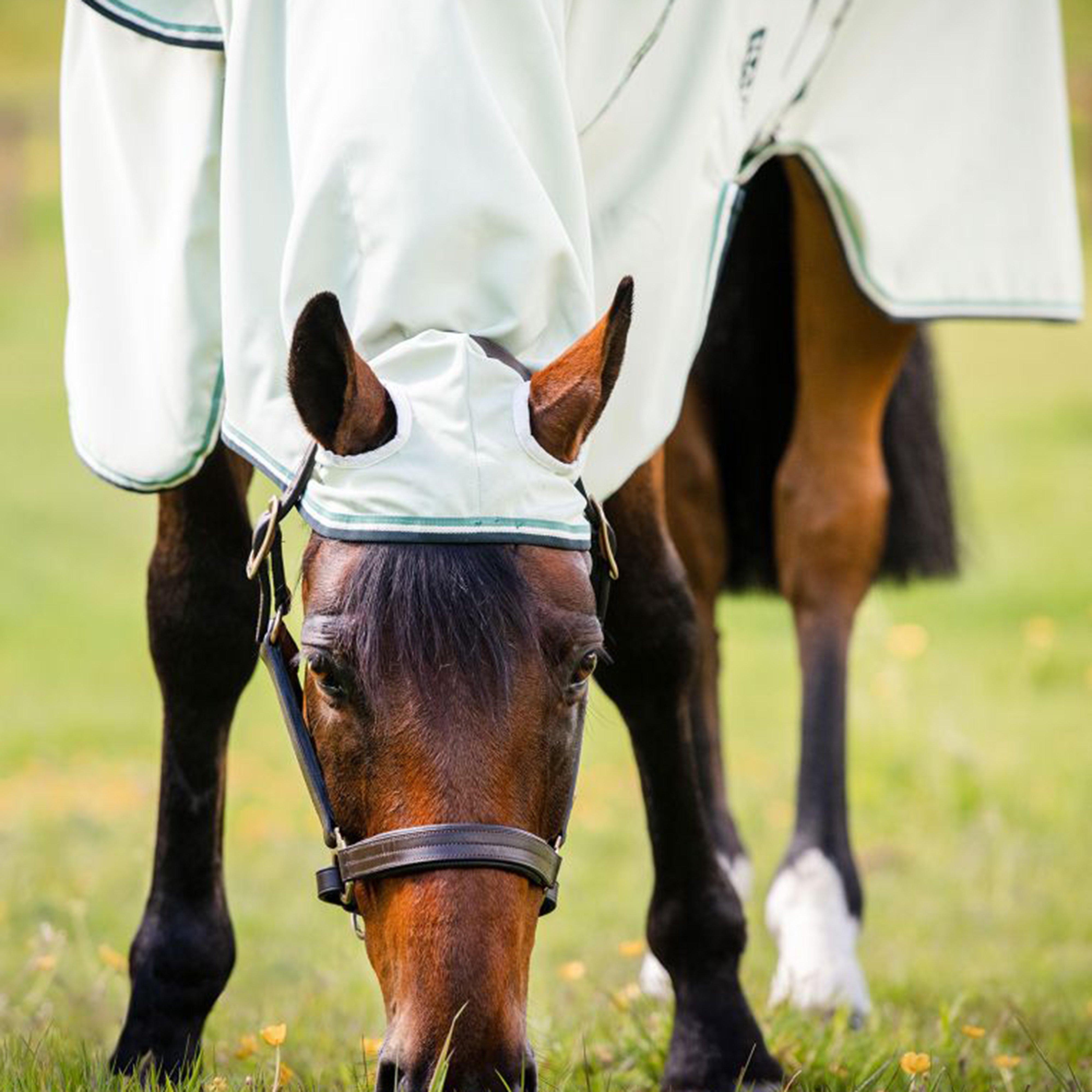 Hoody Rug Green Sage & Beige & Green