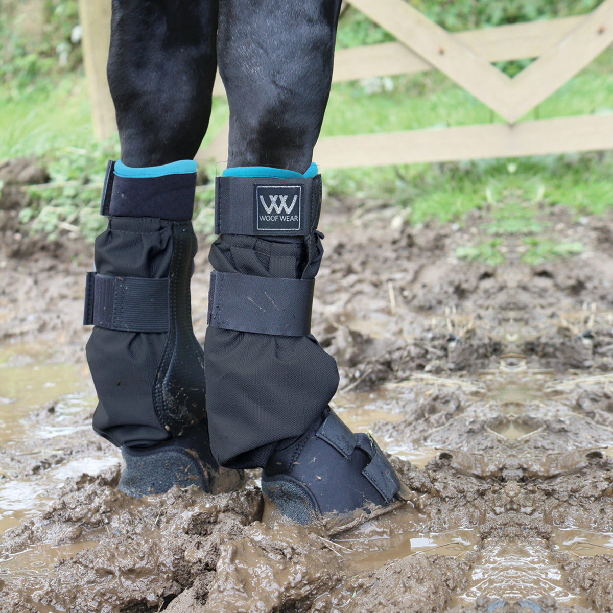 Mud Fever Boots Black Turquoise