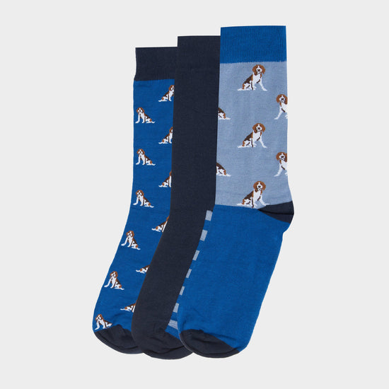 Mens Beagle Dog Sock Set Blue Beagle
