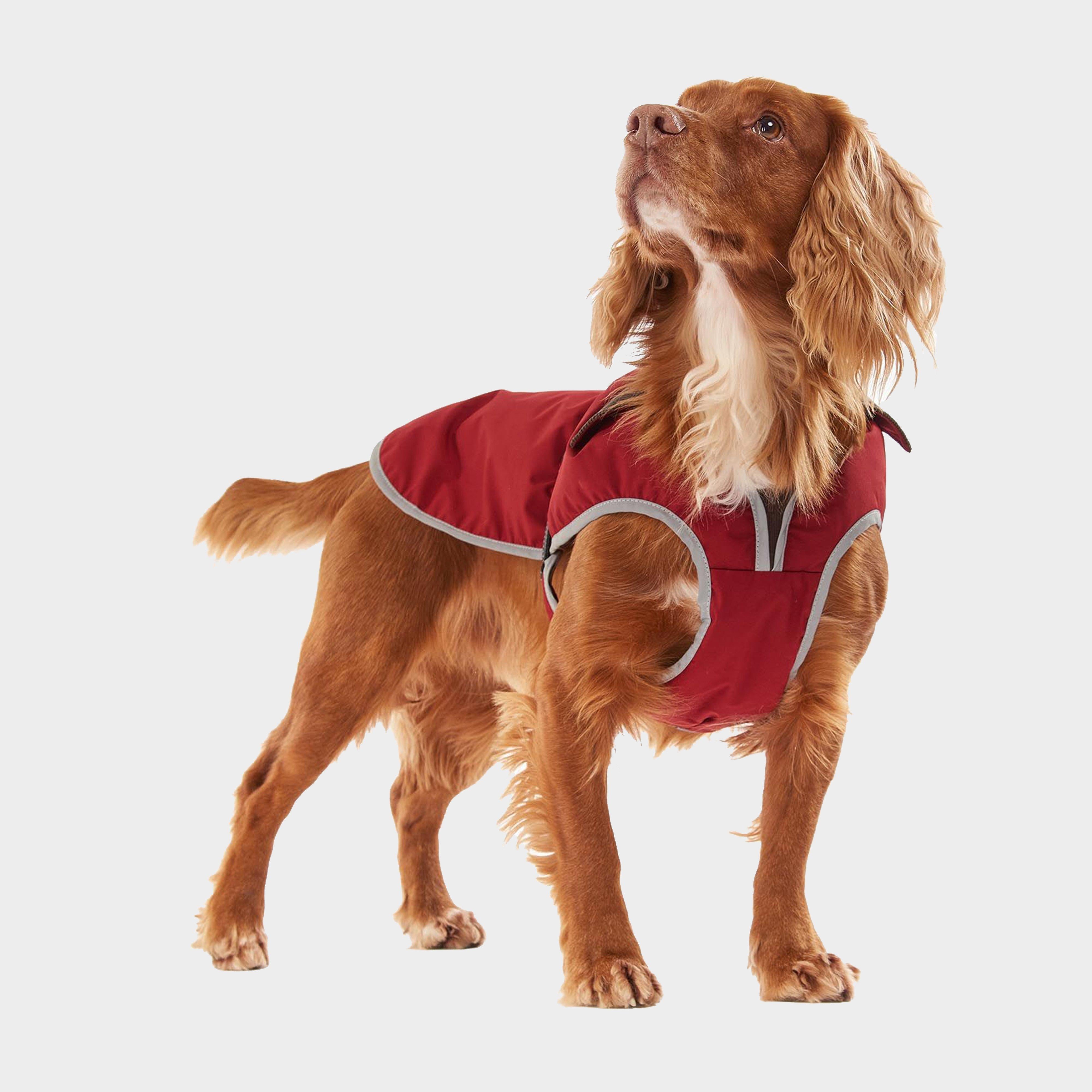 Monmouth Waterproof Dog Coat Red