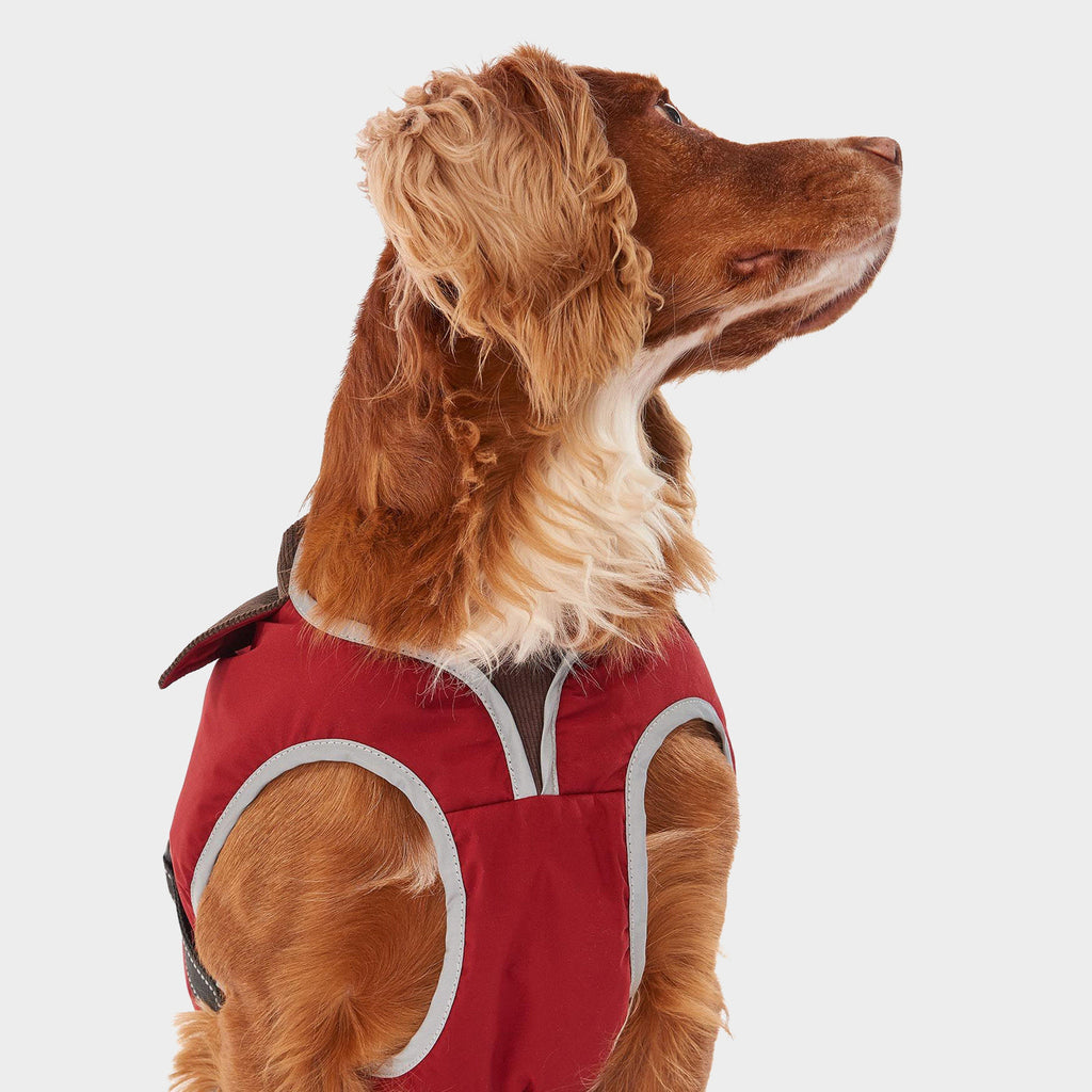 Monmouth Waterproof Dog Coat Red