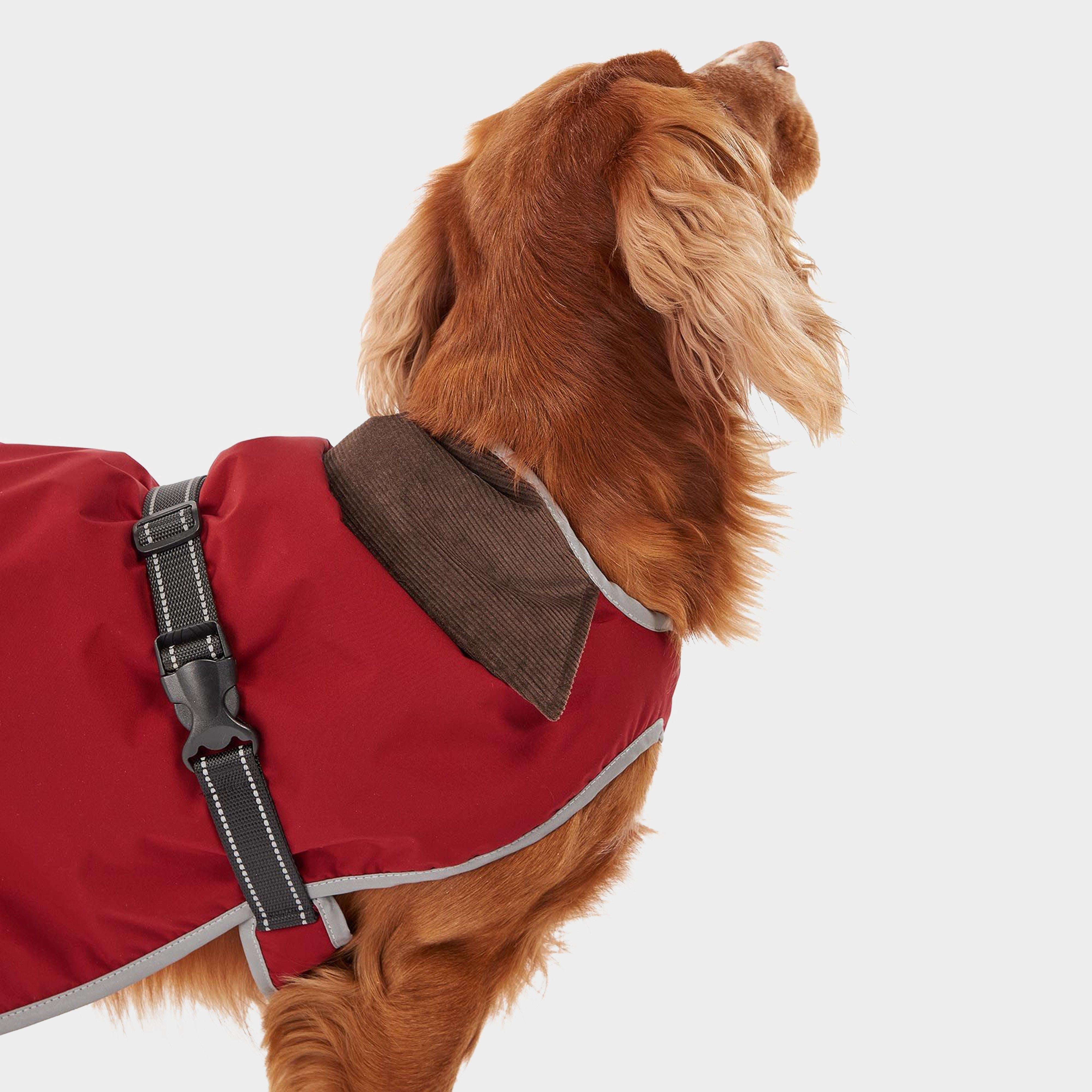 Monmouth Waterproof Dog Coat Red