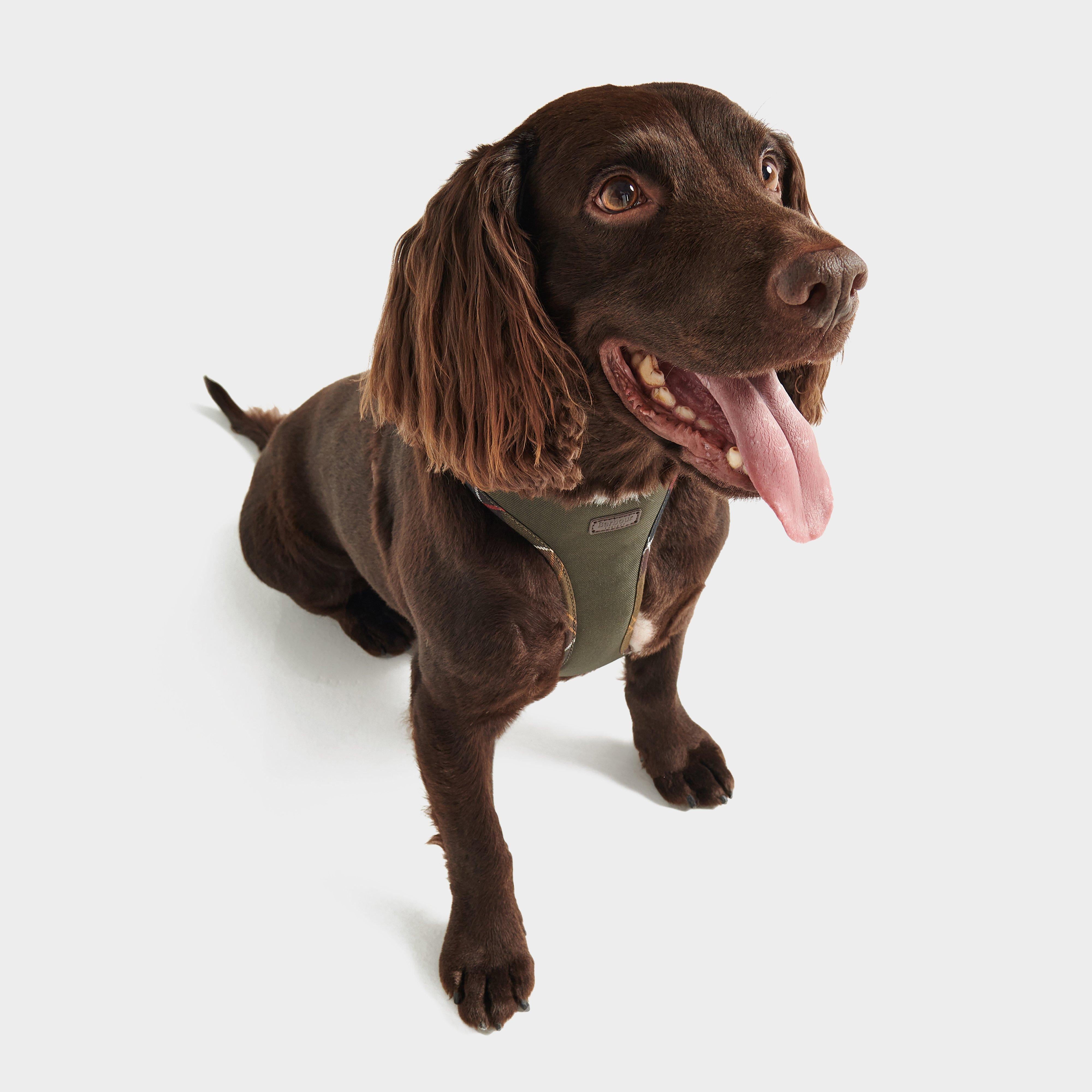 Comfort Dog Harness Olive