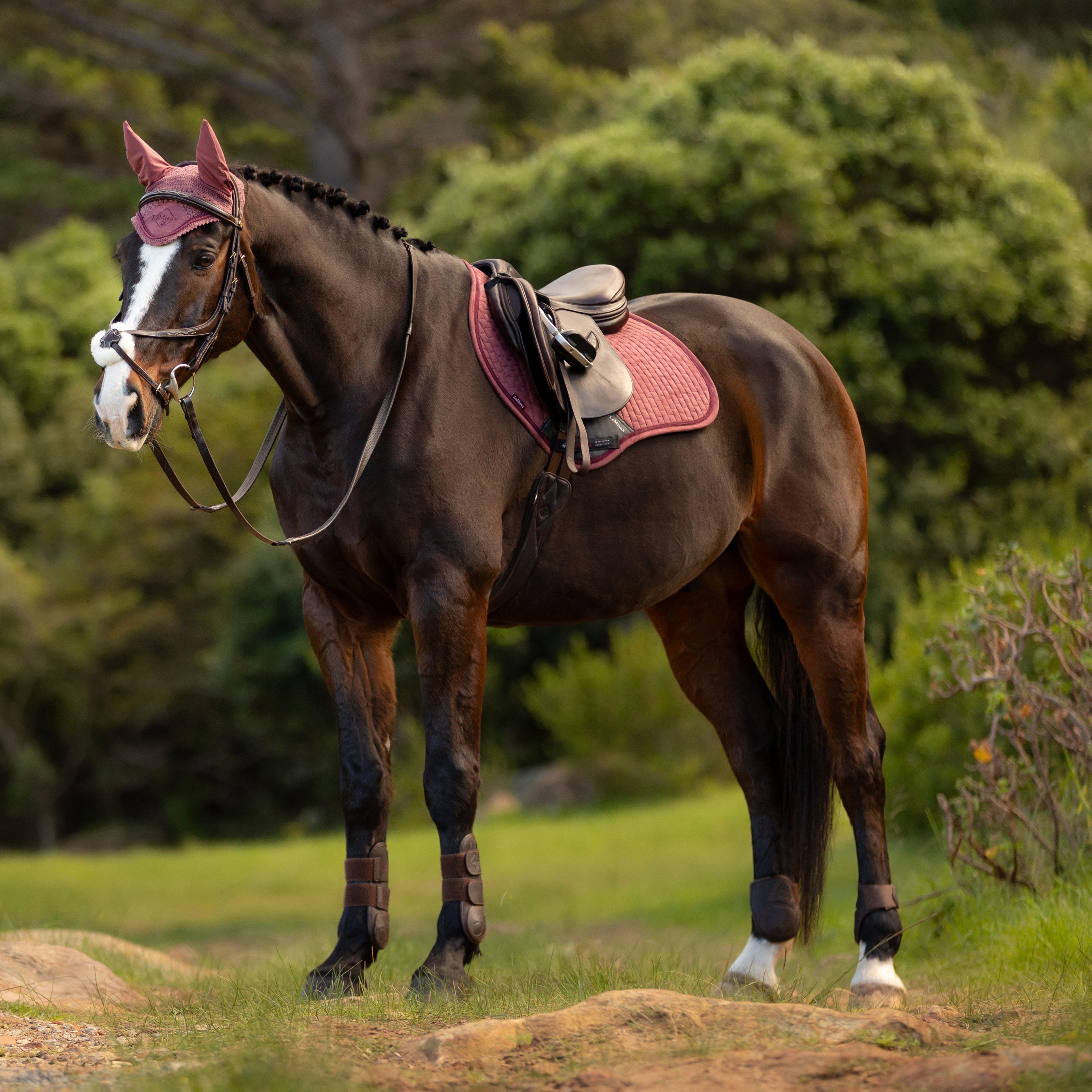 Classique Suede Close Contact Saddle Pad Orchid