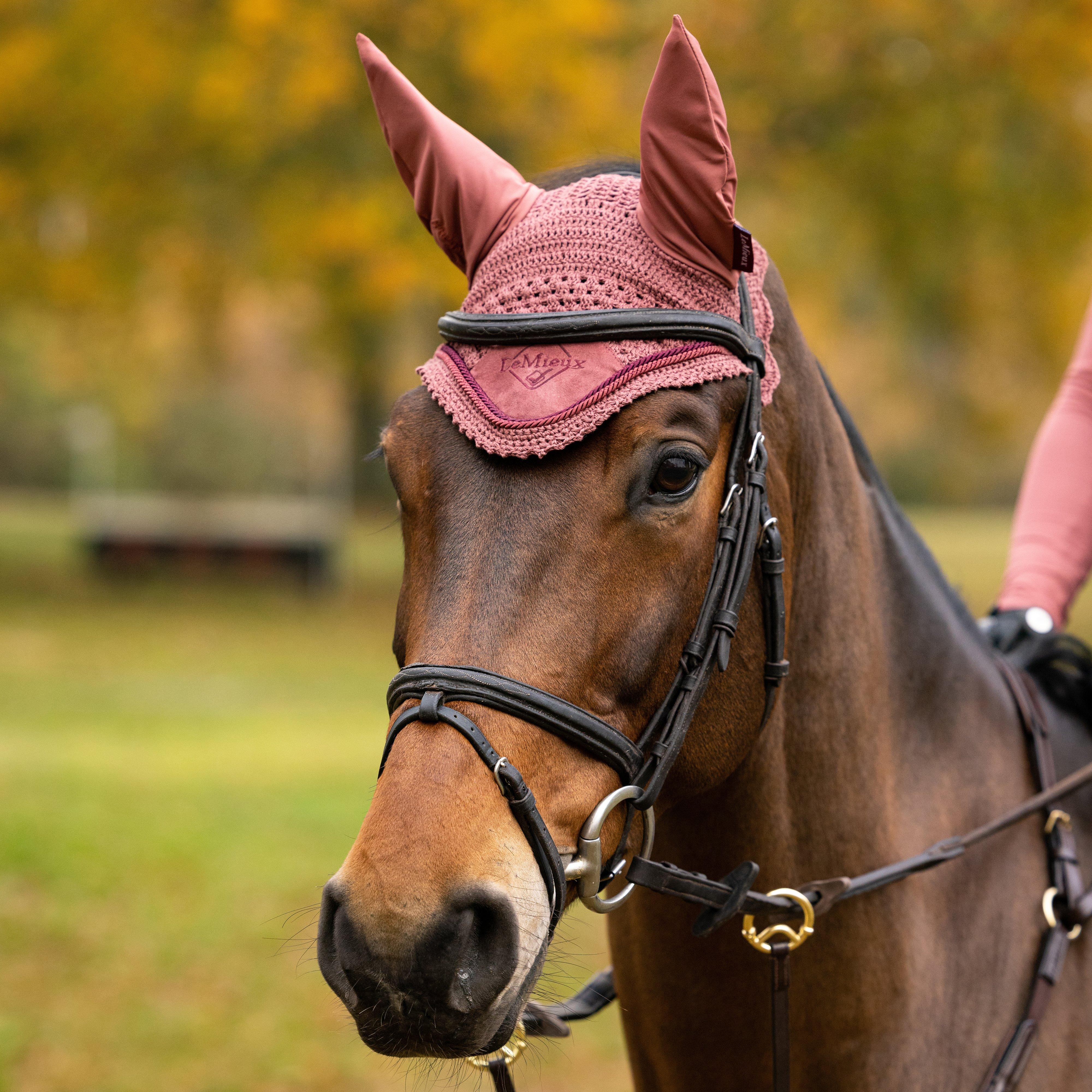 Classic Fly Hood Orchid